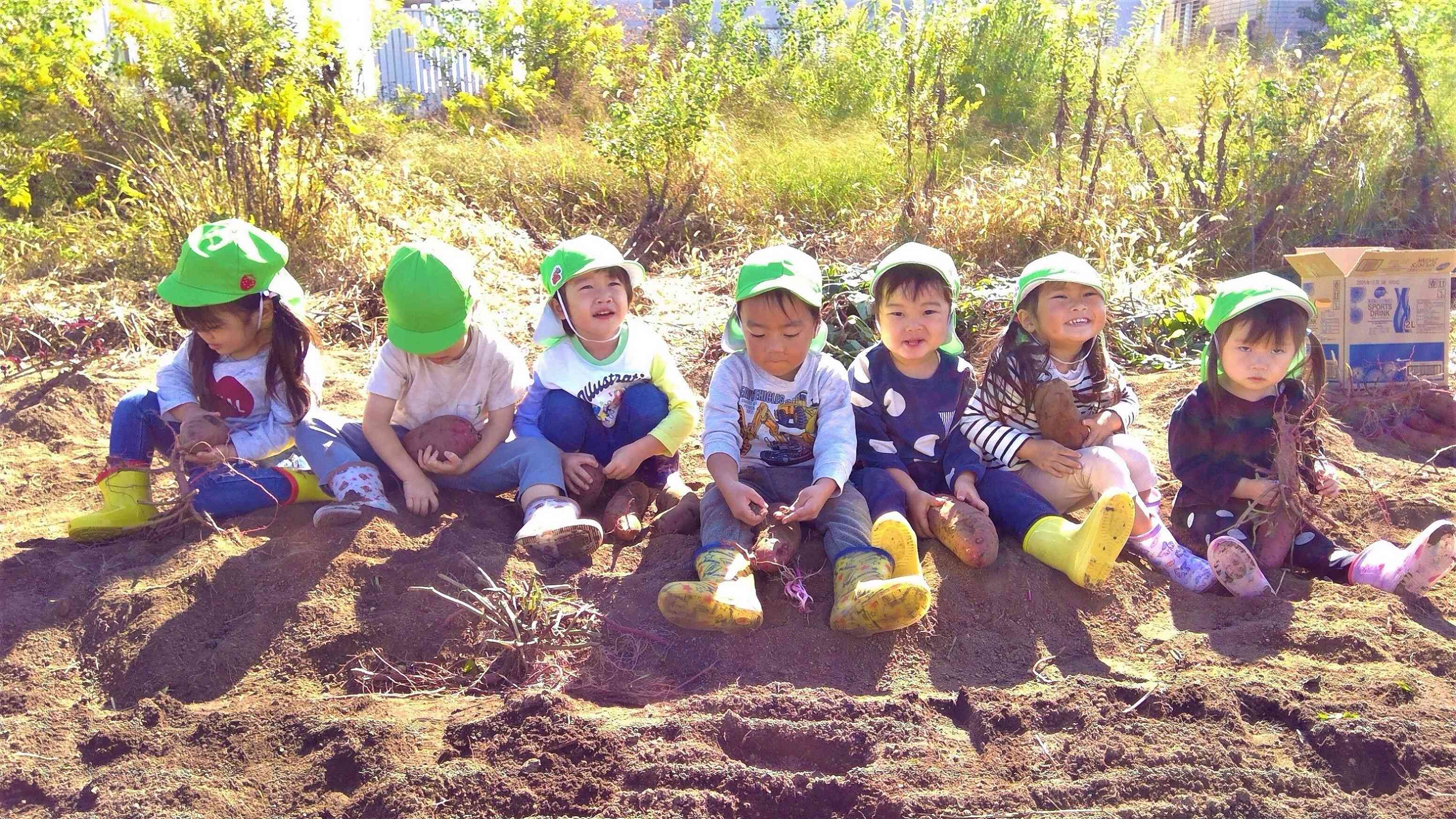 楽しいおいもほり