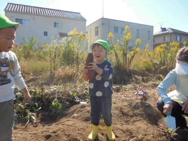 おもいっきりお芋ほり