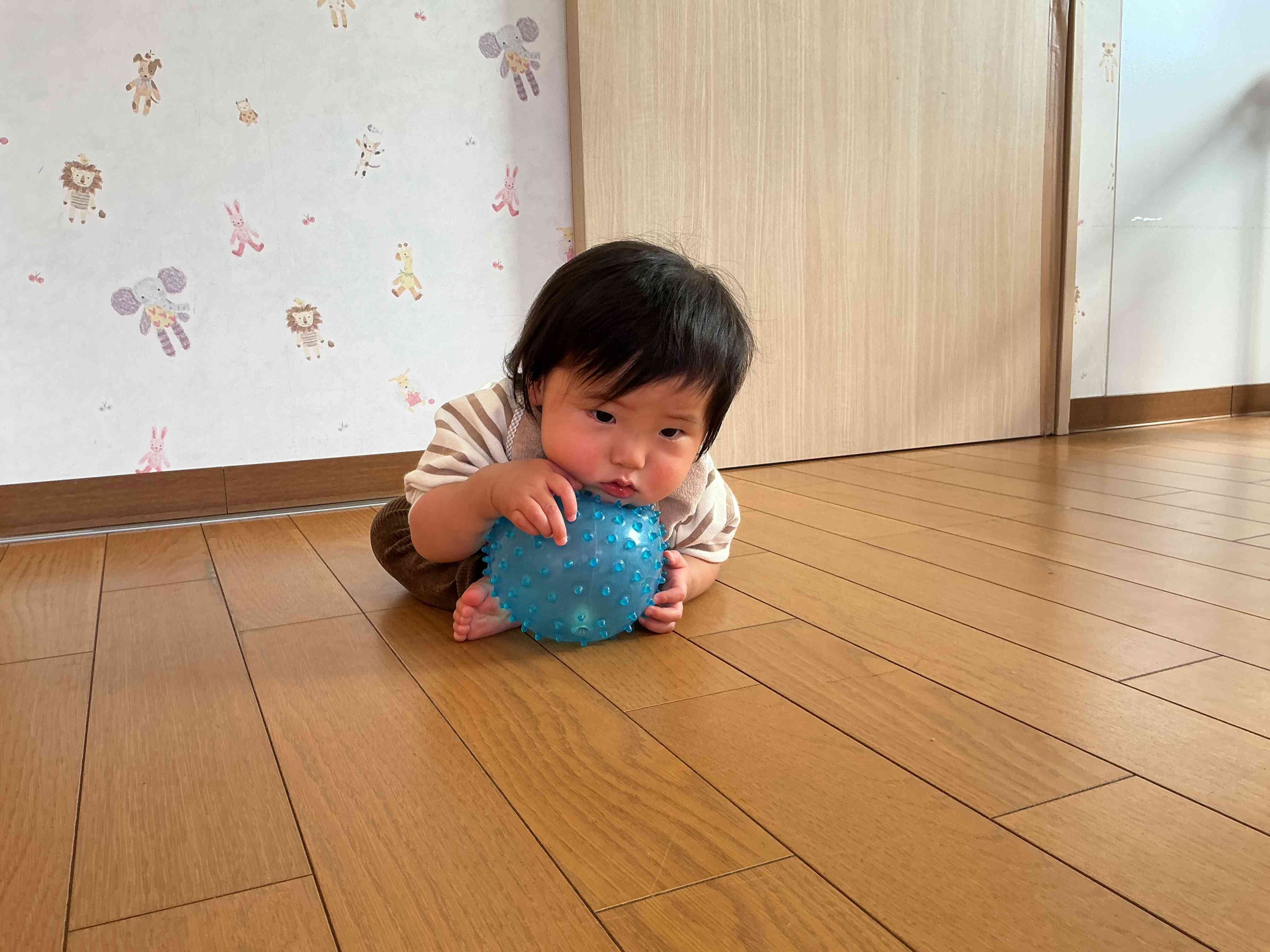 「やった~」青いボールをつかまえたよ。