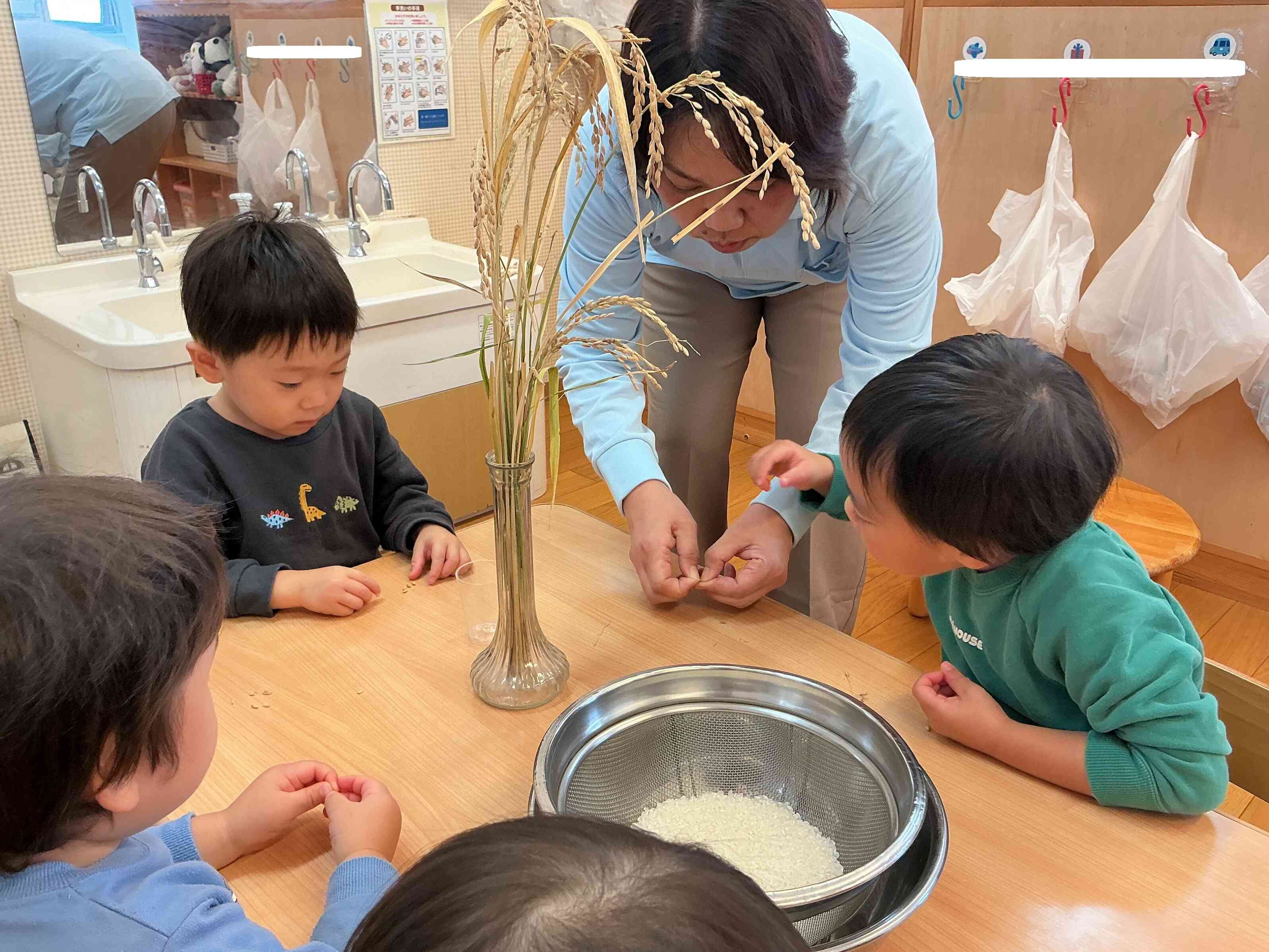 中から真っ白なかわいいお米が出てきましたよ。