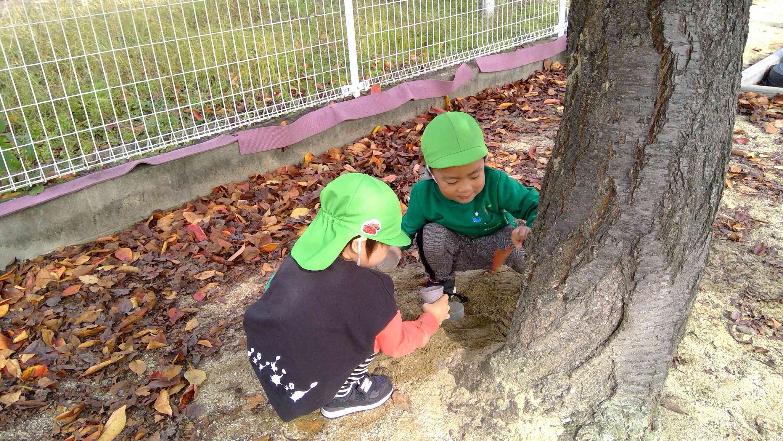 落ち葉に隠れた虫さん発見。