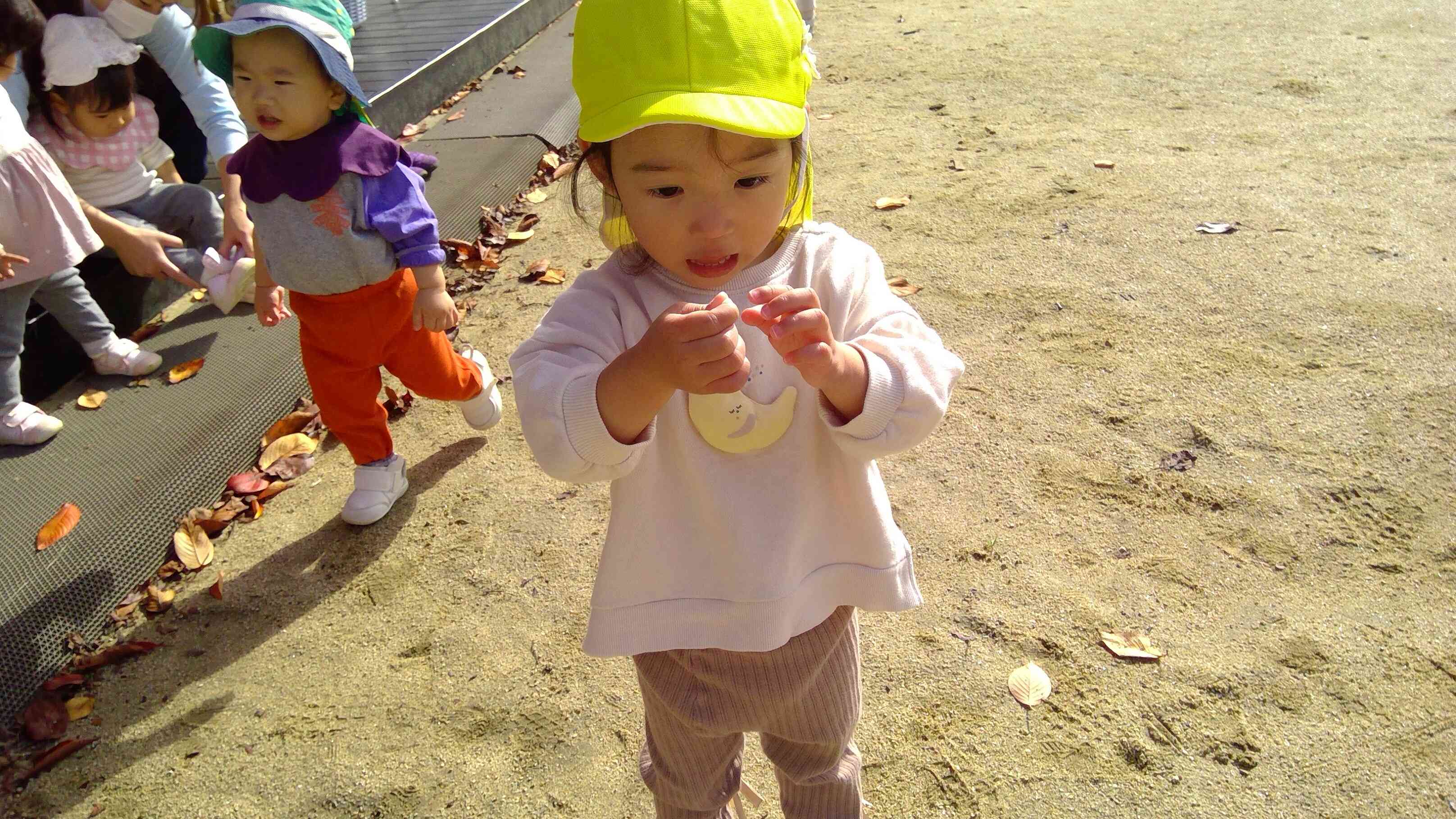 いいものみ～つけた