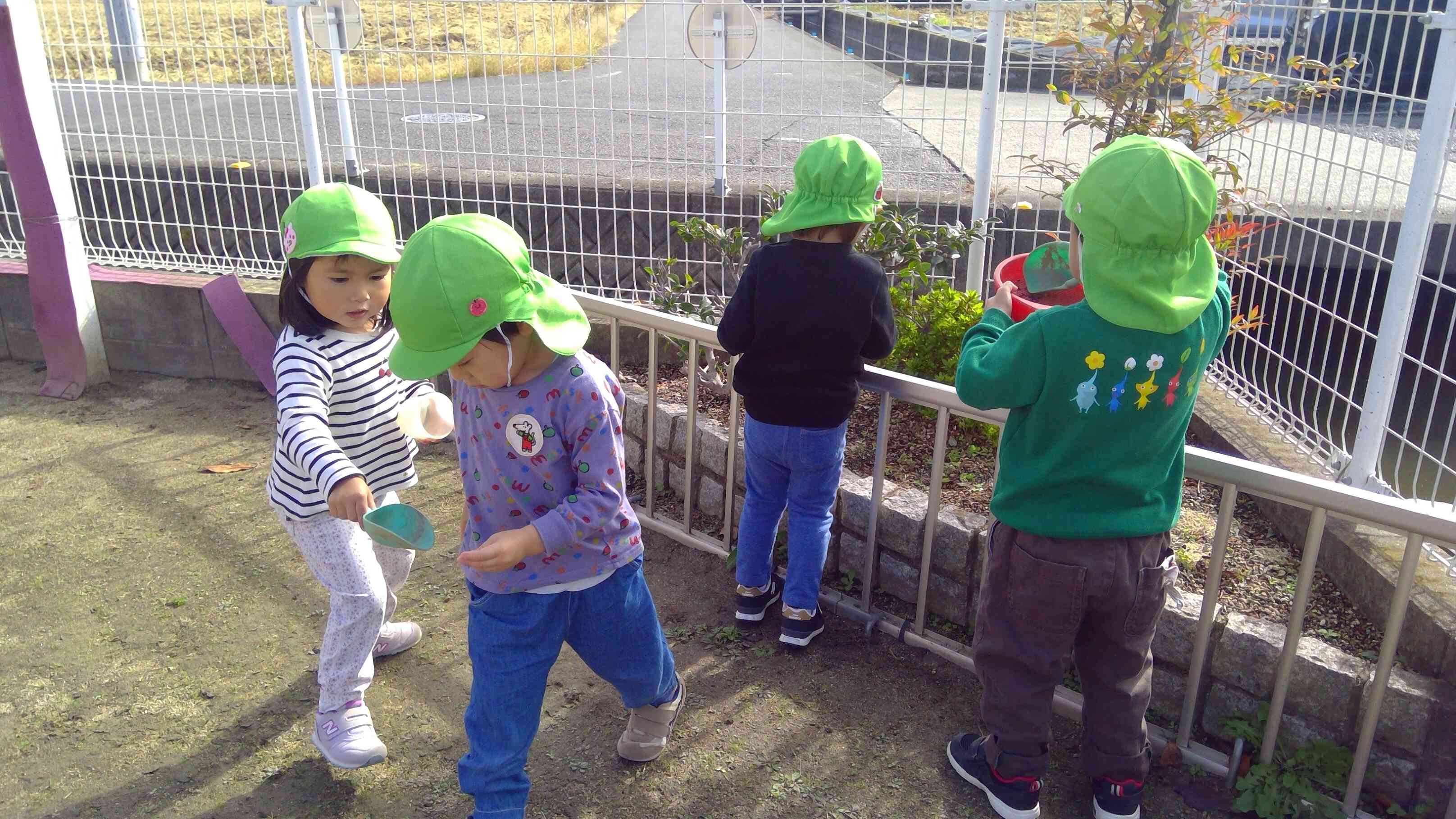 みてみて~。みつけたよ~。