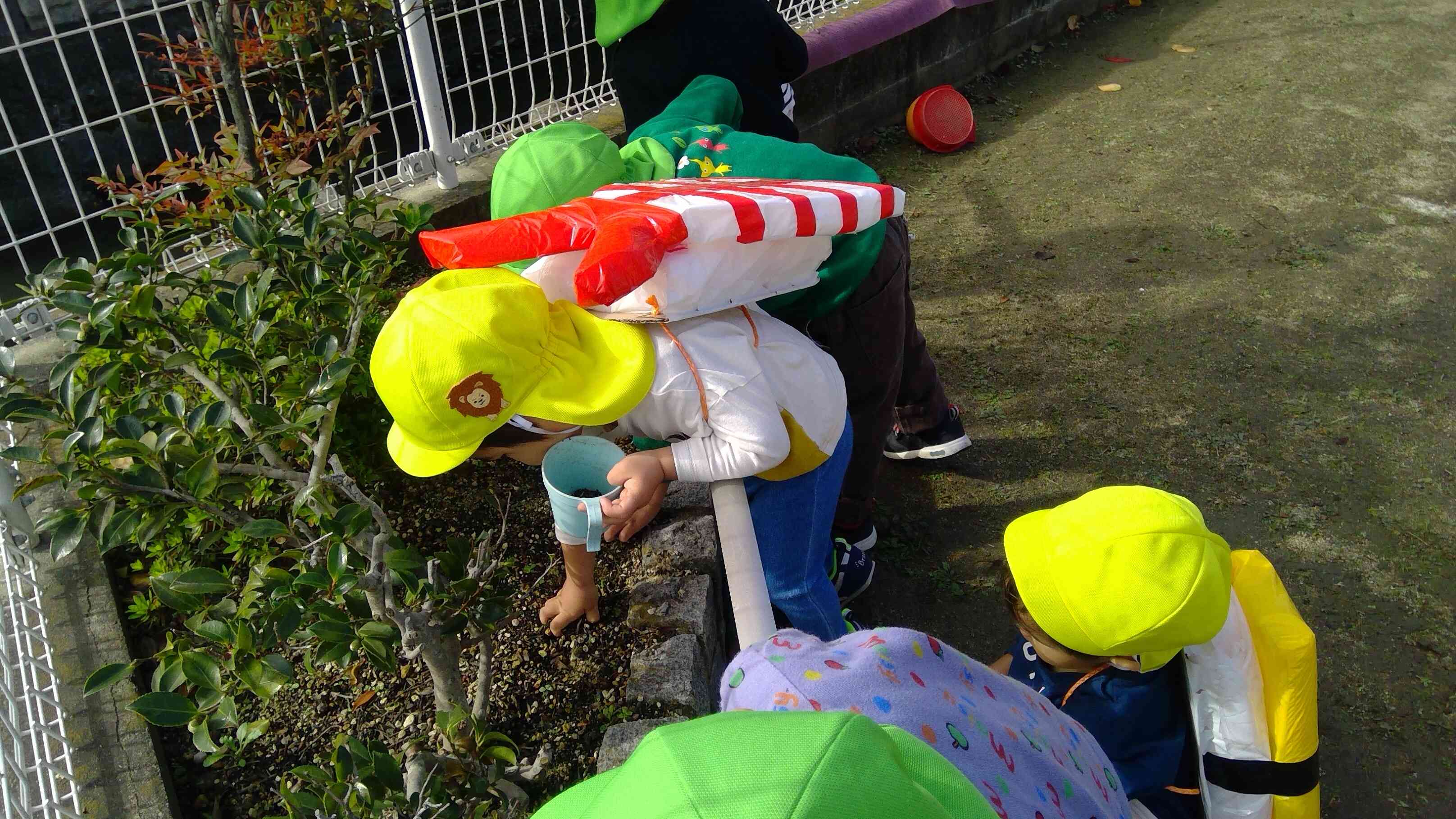 宝物がいっぱい。拾ったらコップに集めるよ。