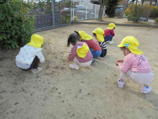 夢中でどんぐりを拾う子ども達の後ろ姿がとっても可愛いですね。