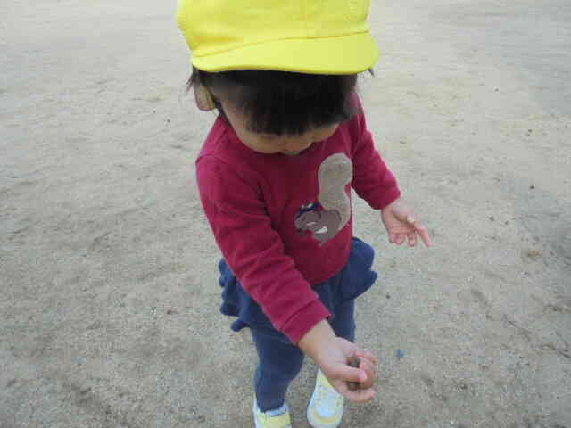 いっぱい拾ったよー。