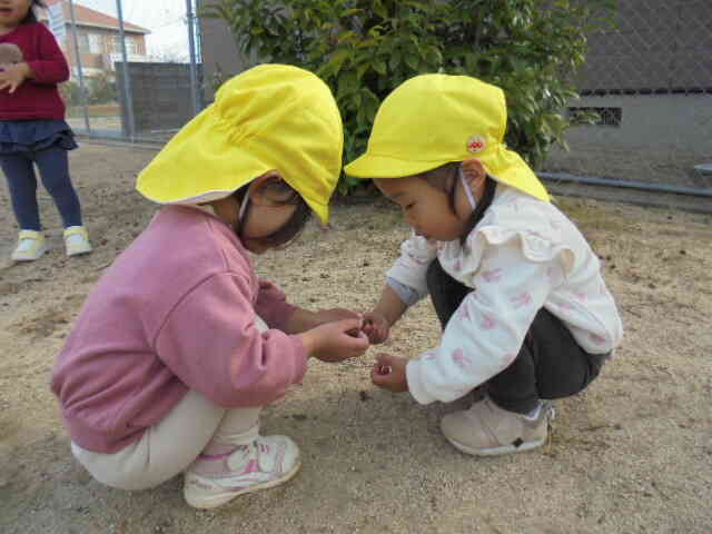 「これは大きいね」「こっちは小っちゃいね」とお友だちと一緒にどんぐりの見せあいっこ。