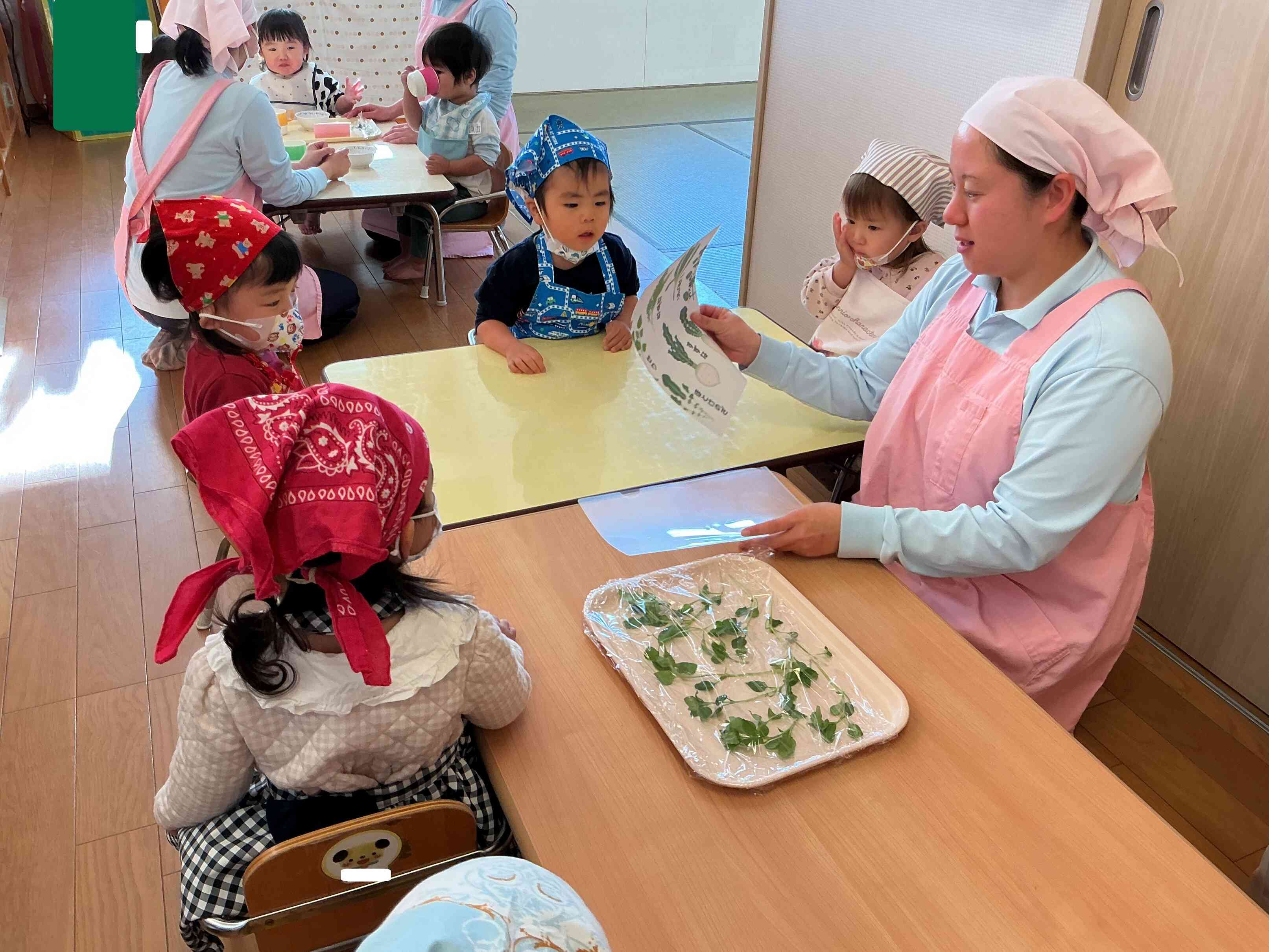 一つ一つ草のお名前を教えてもらいました。