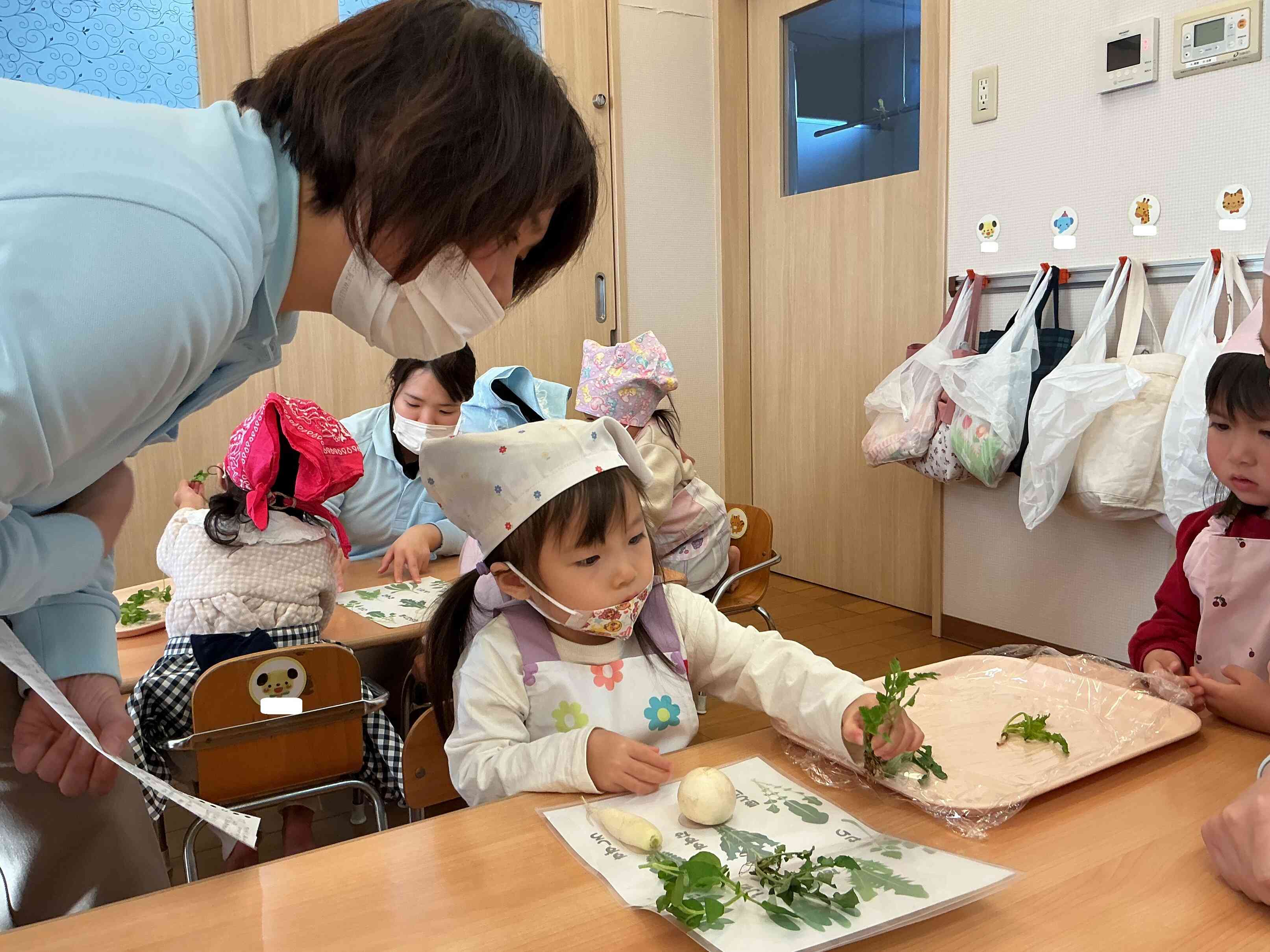 今日は七草の日