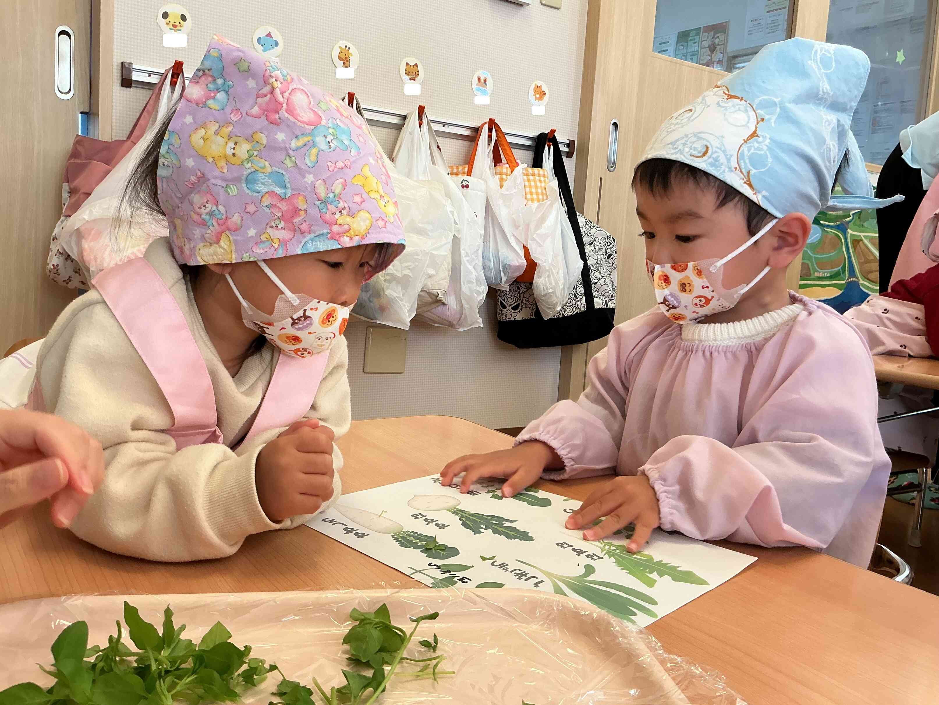 いろんな形の草があるね～。