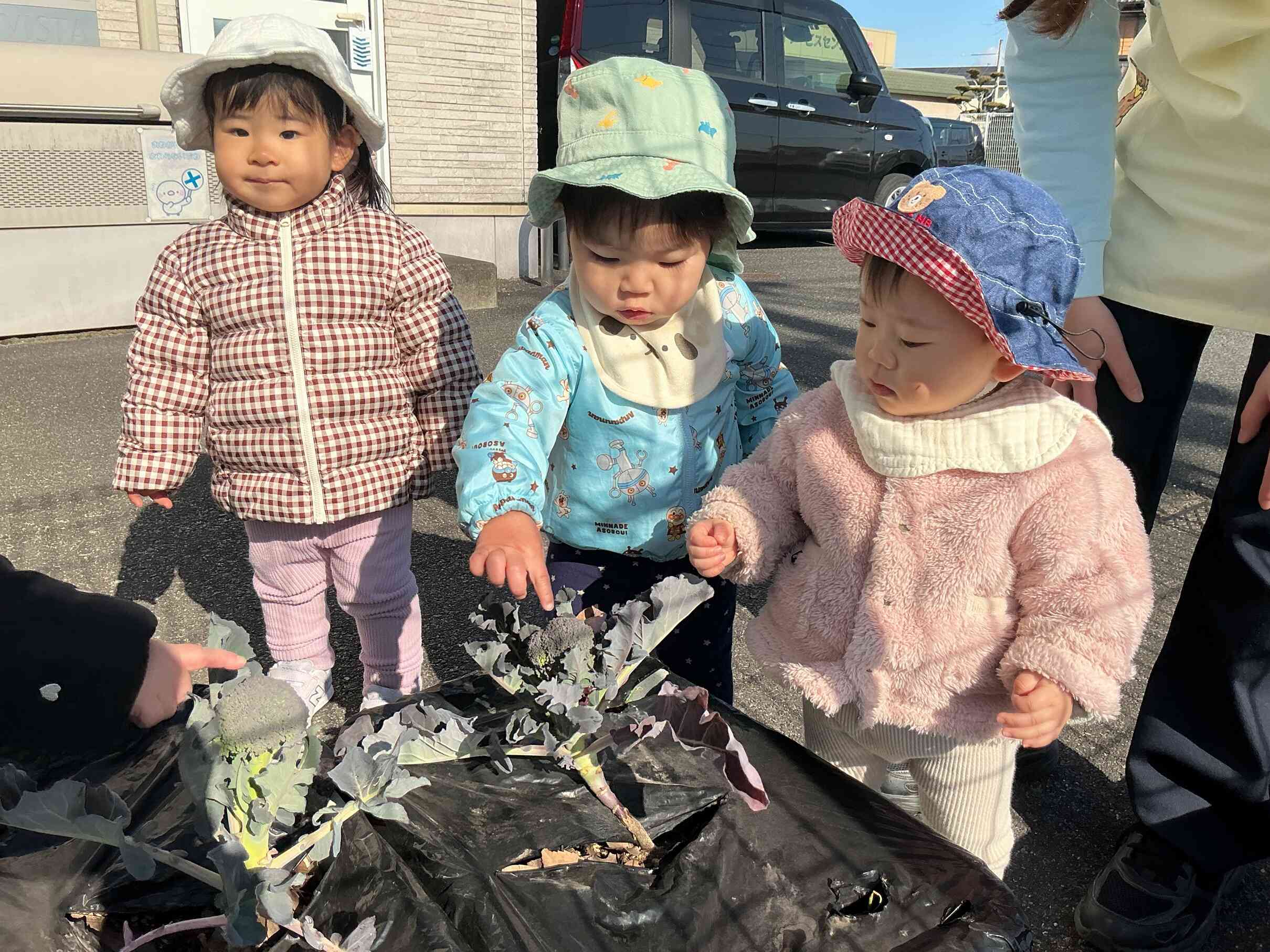 ブロッコリーをツンツン