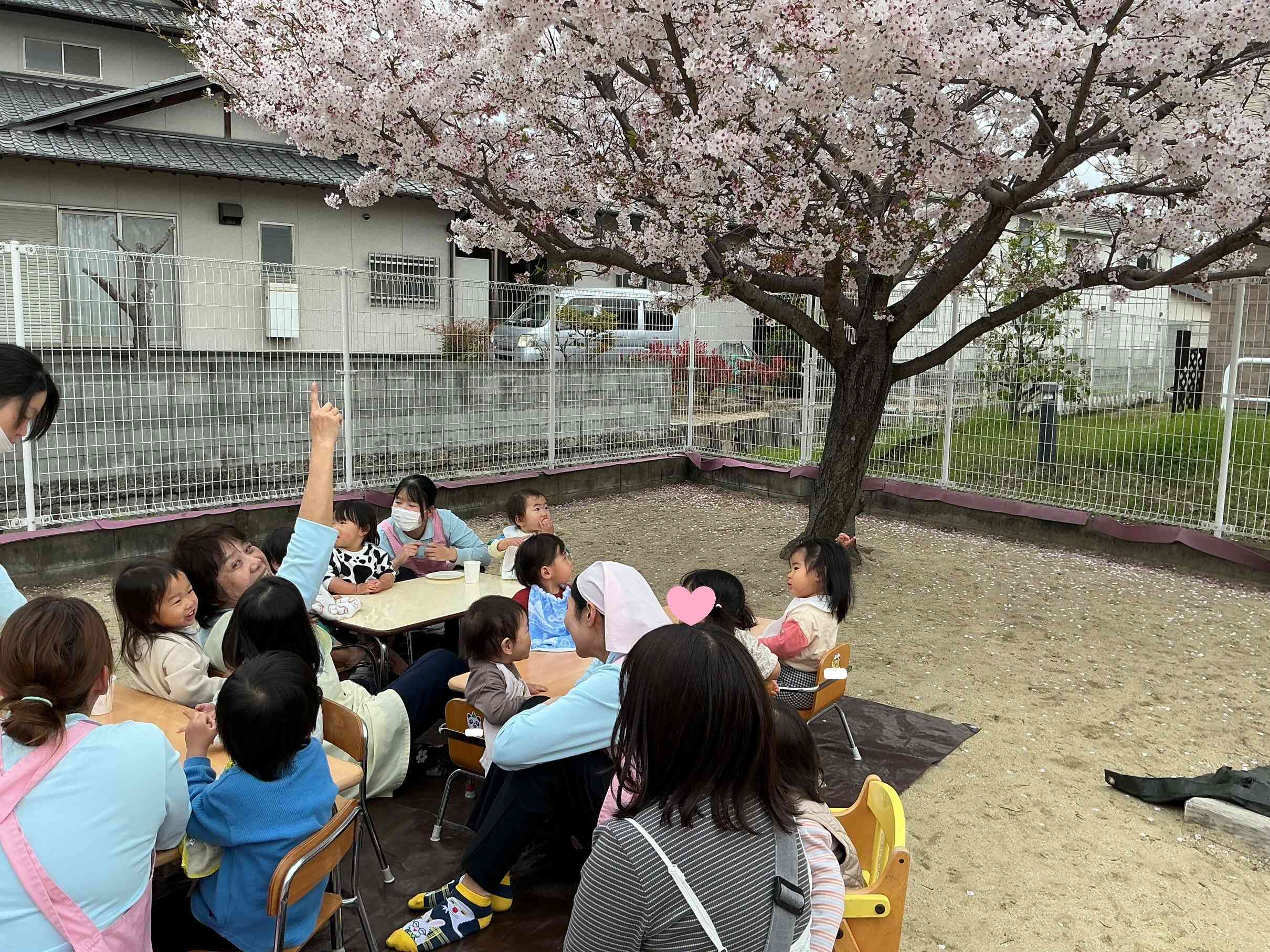 お花見会（食育）