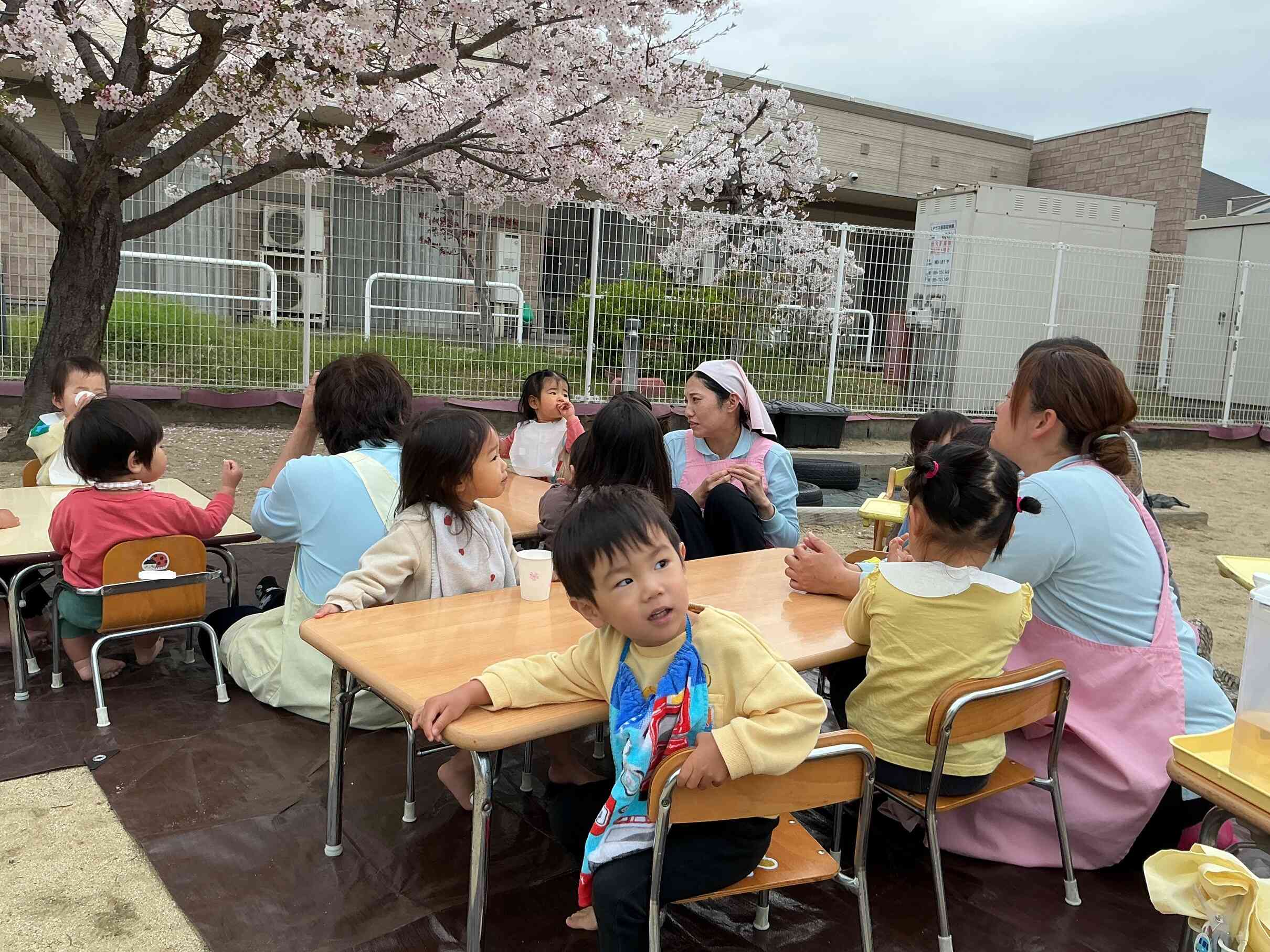 今日の天気予報は夕方から雨模様。雨雲さん、「お花見会」が終わるのを待ってくれて良かったね。