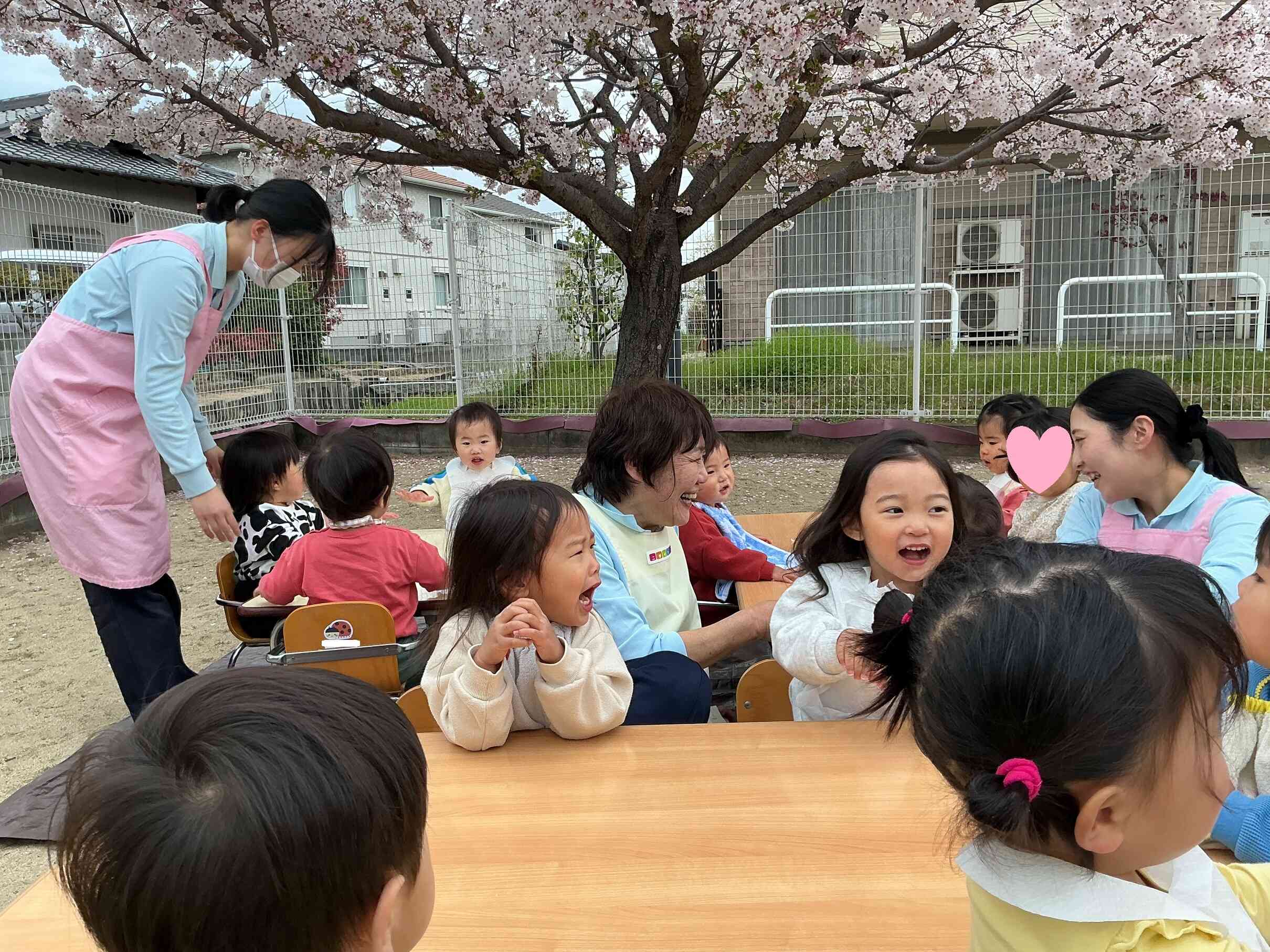 満開の桜の花の下でのお花見会