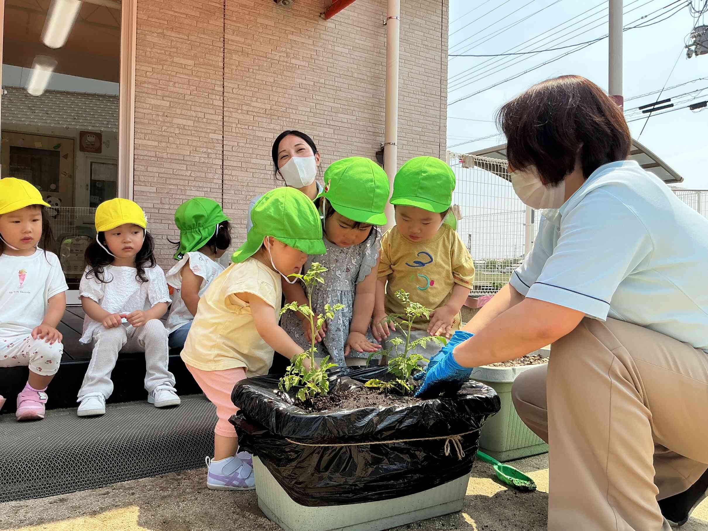 おおきくなあれ、おいしくなあれ