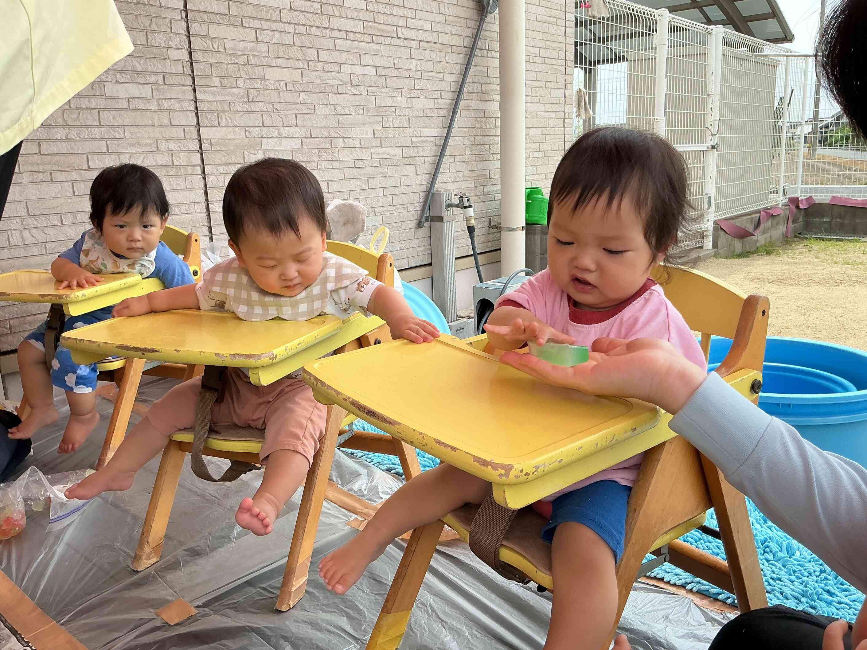 冷たいかんてんをツンツンしてビックリするおともだち。