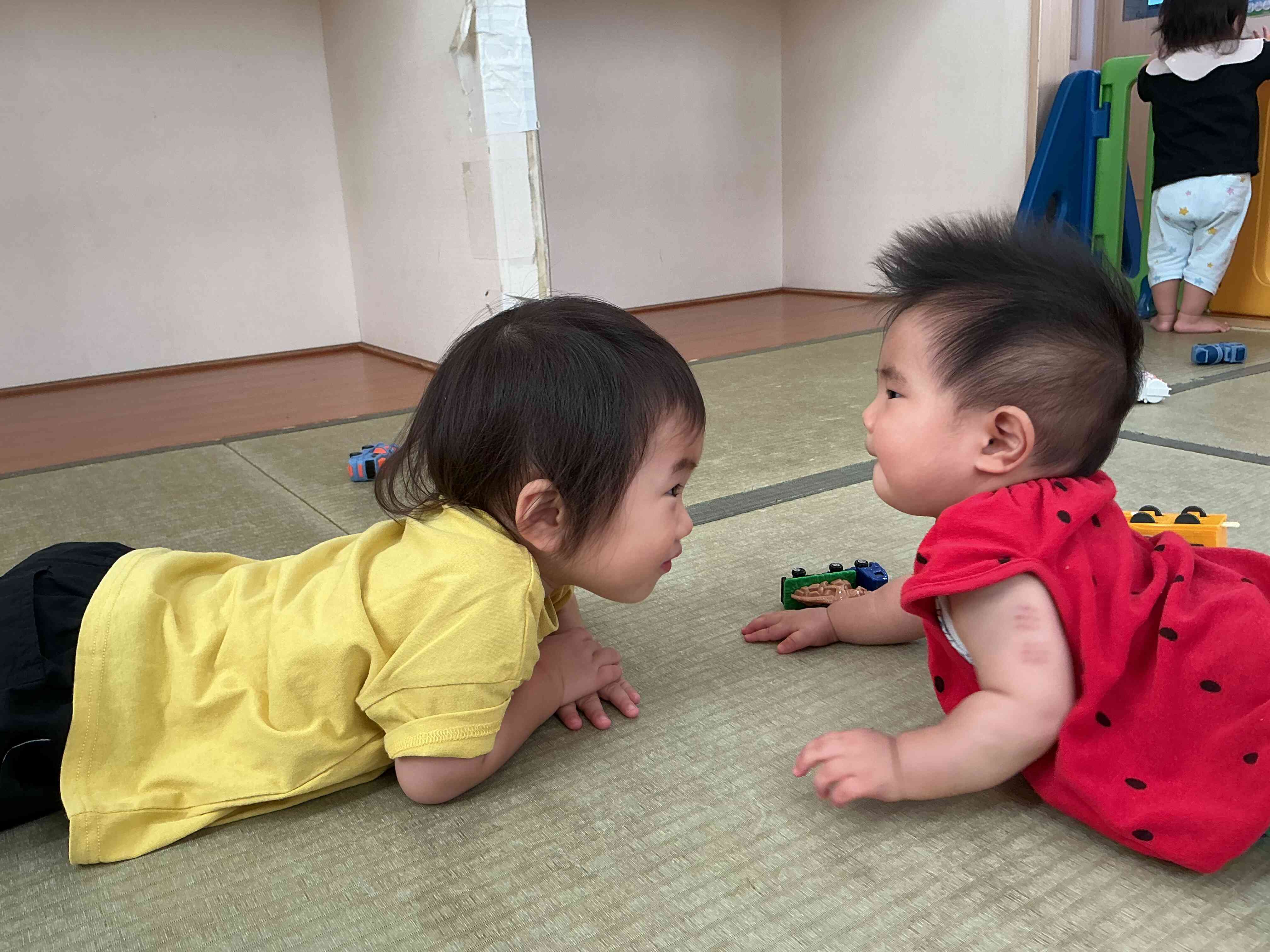 合同保育