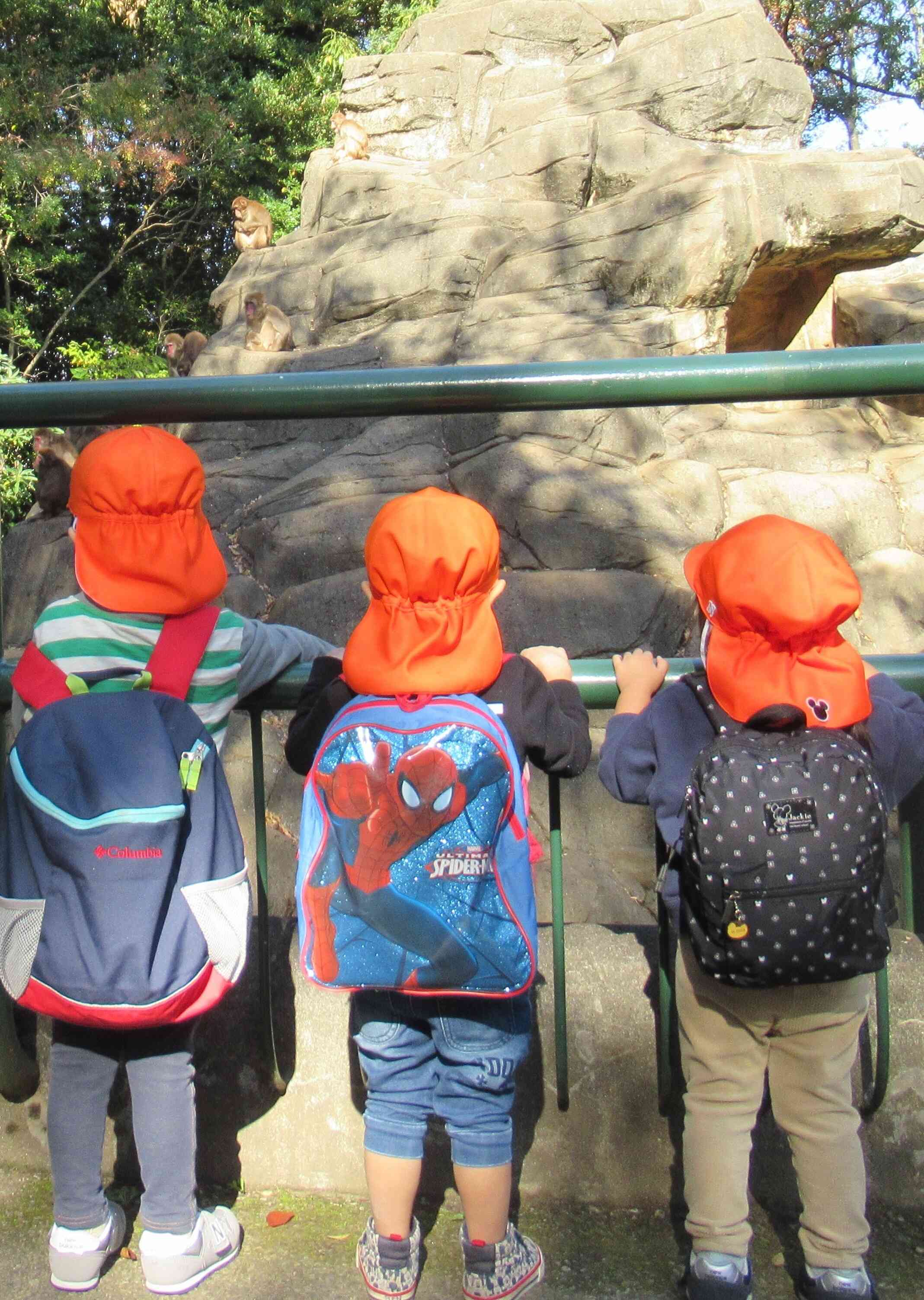 なんの動物がいるかな～？