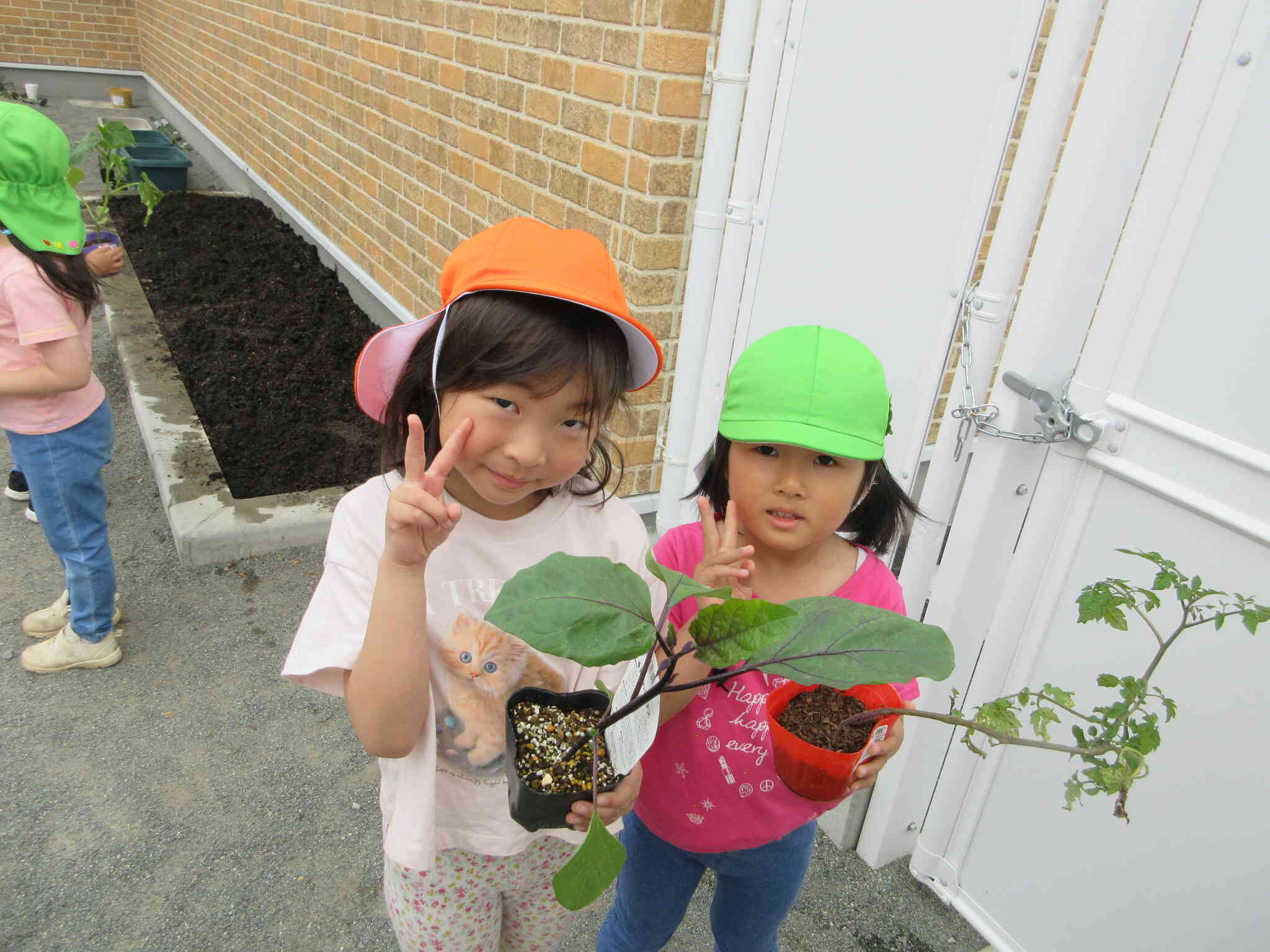 野菜の苗を植えたよ～３、４、５歳児～