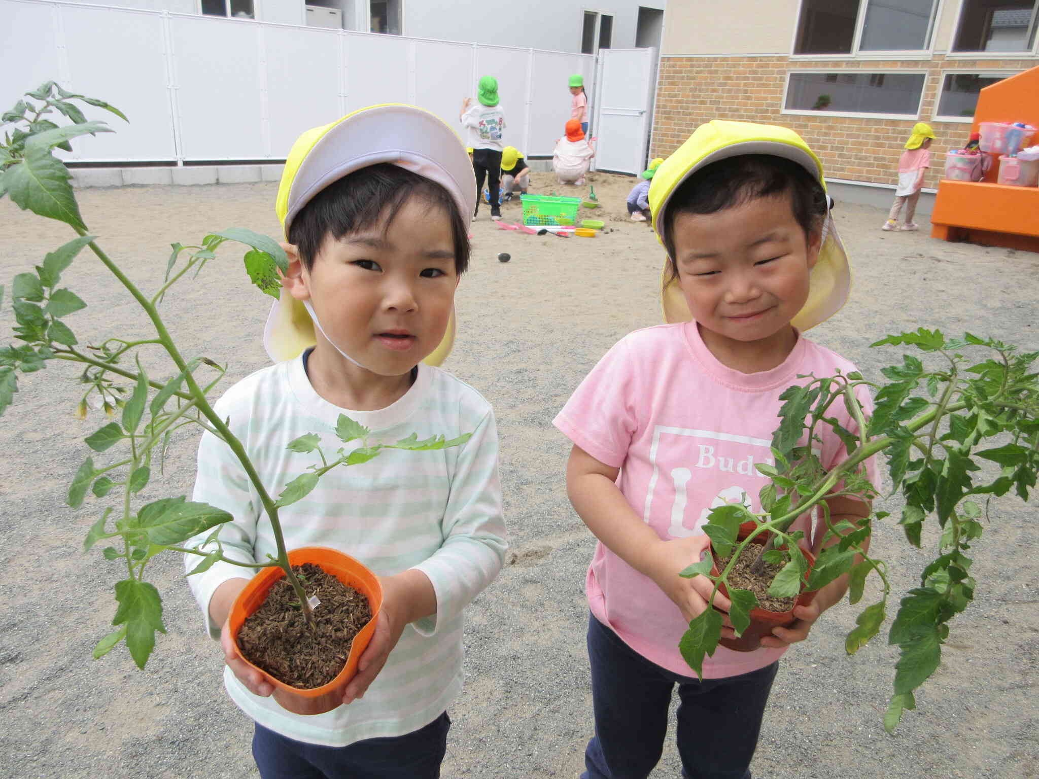 苗を植えたよ
