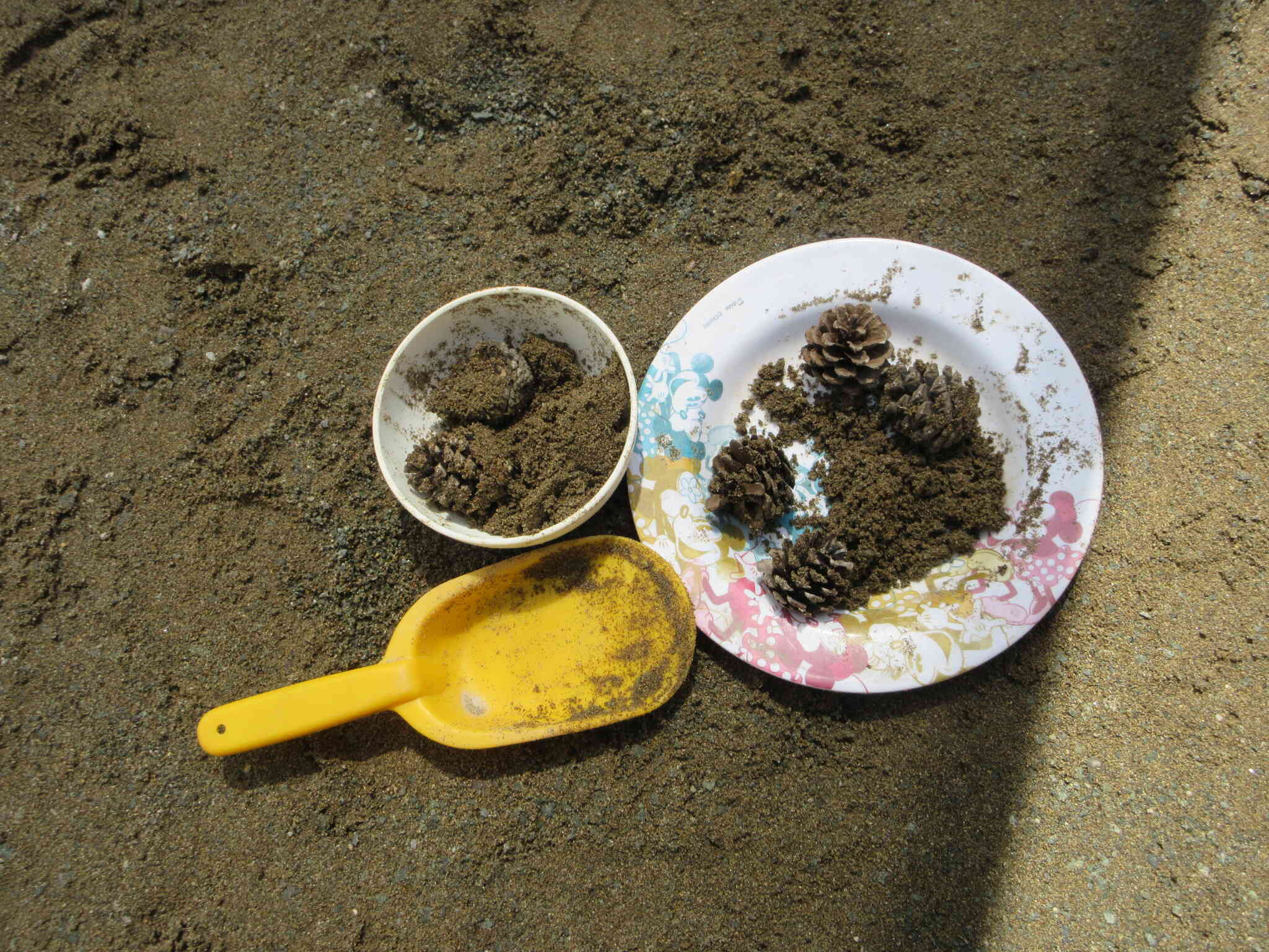 こちらは、美味しいカレー屋さんのカレーです。