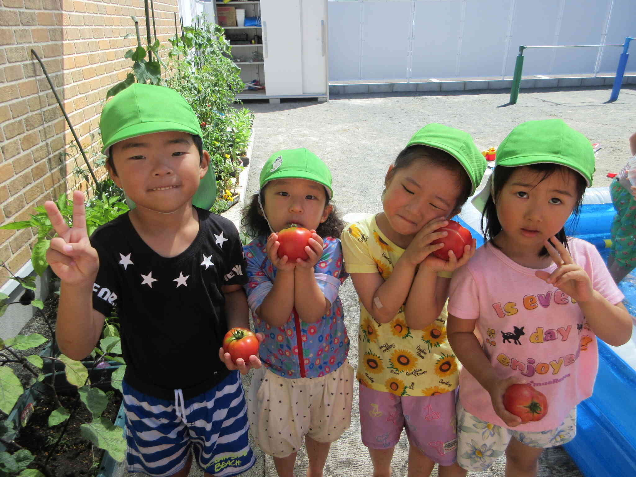 美味しい野菜が今年も大豊作