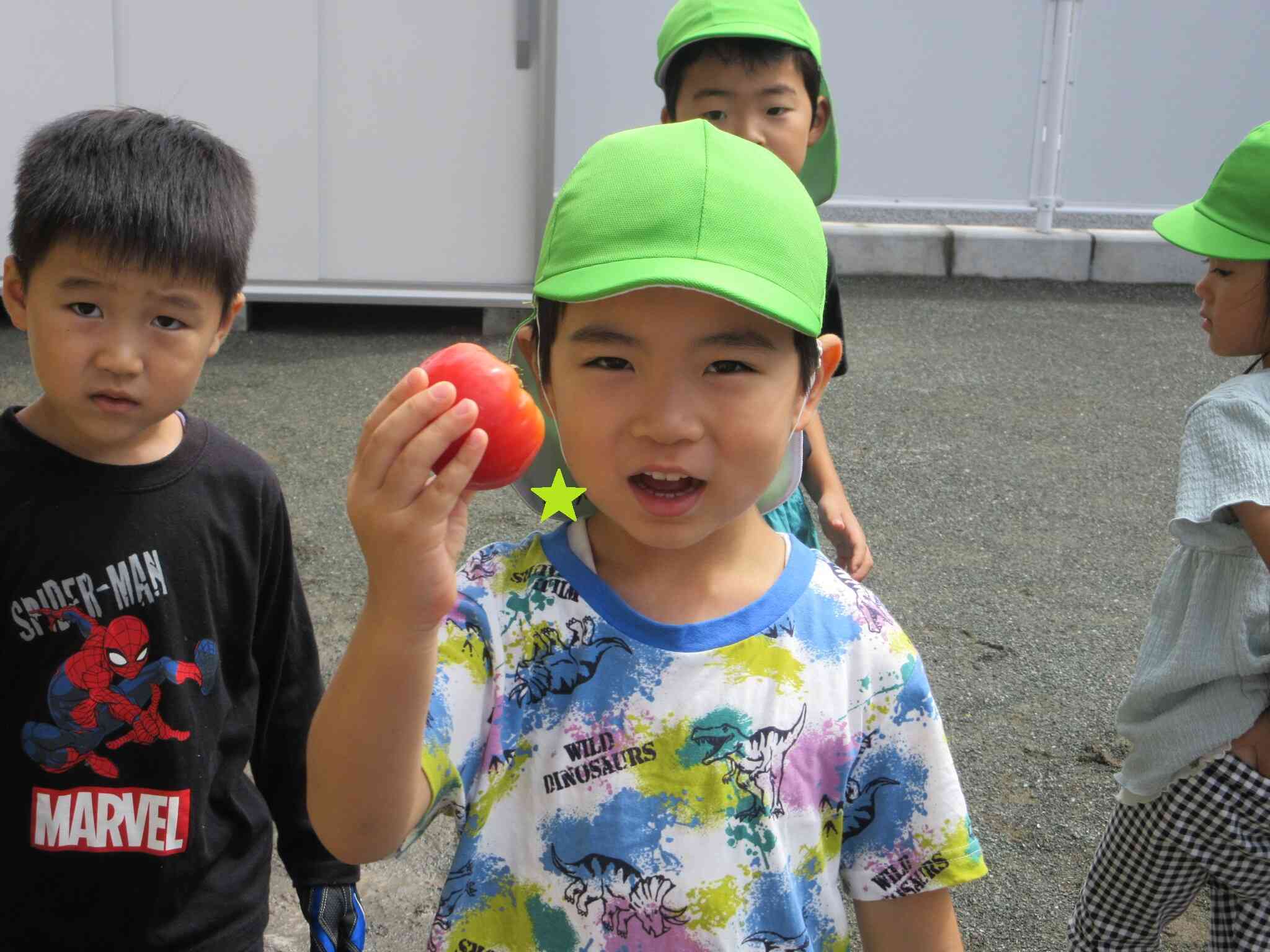 収穫した野菜さっそく食べよう