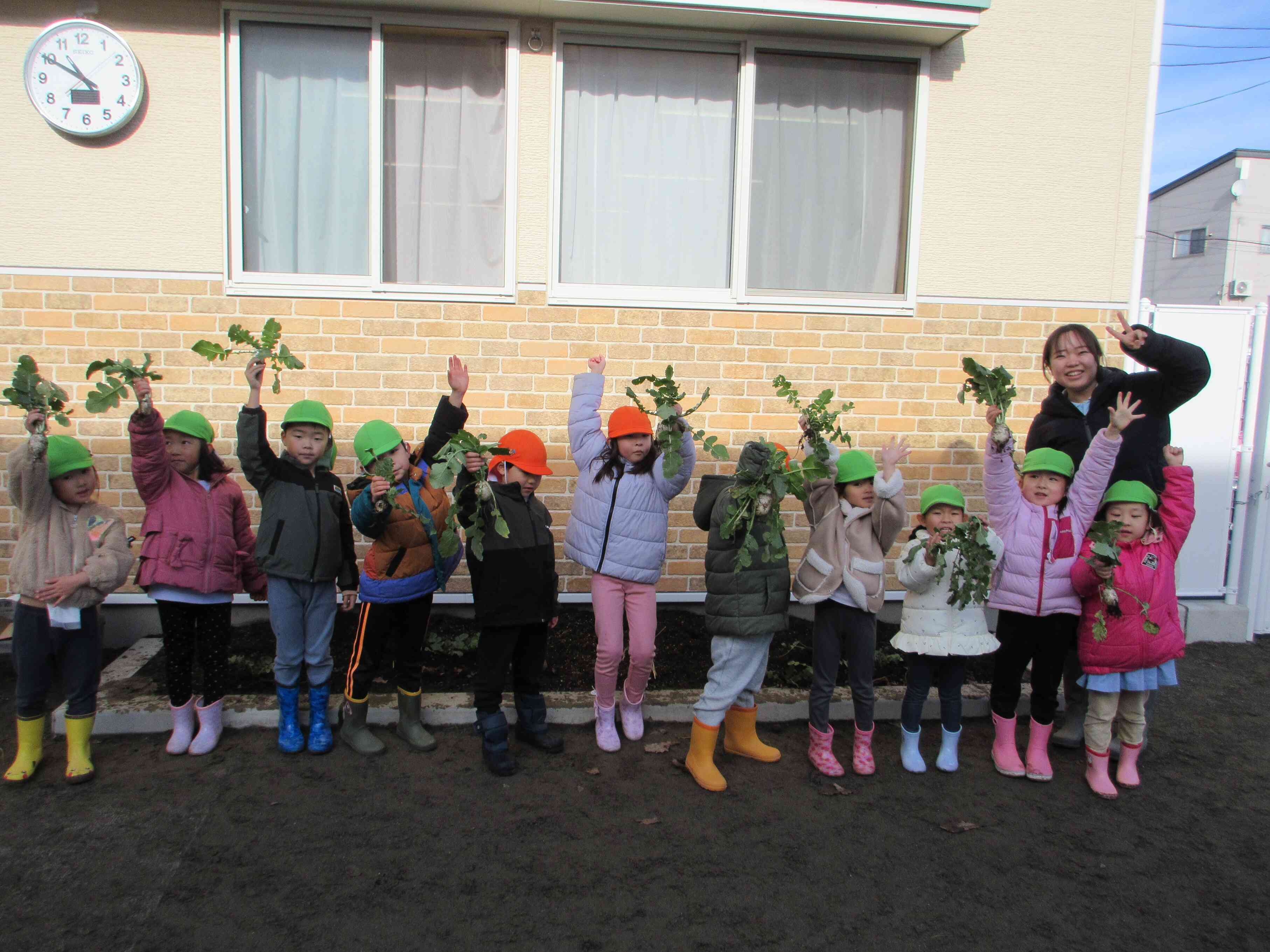 4、5歳児クッキング①(大根収穫)