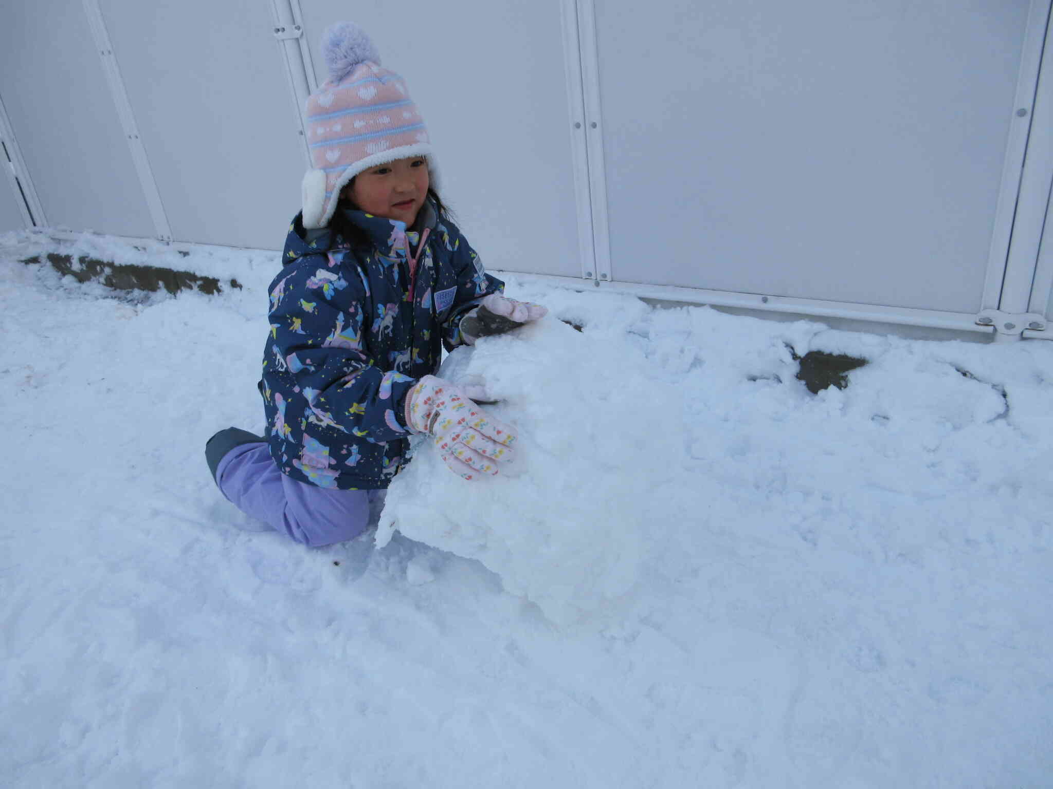「まだ大きくするよー」と転がしていました。