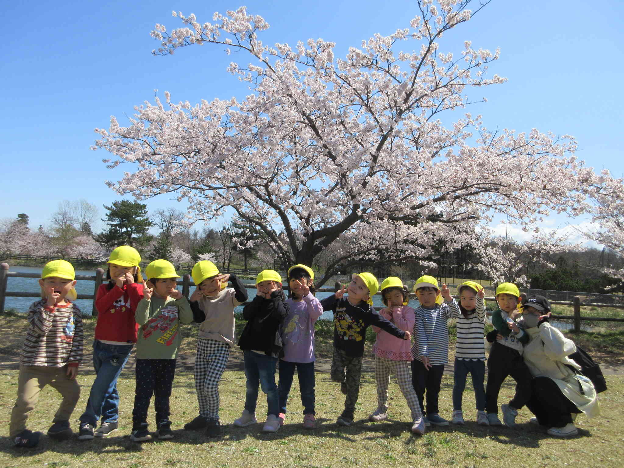 はい・ポーズ！