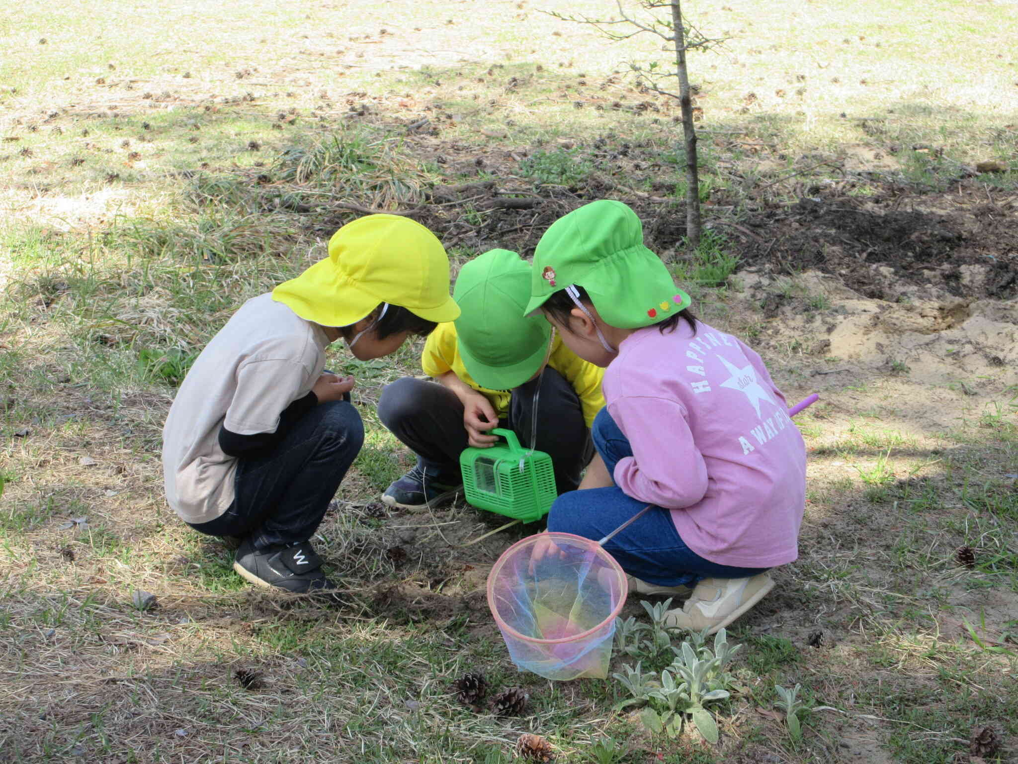 これなぁに？何かを見つけて話し合っています