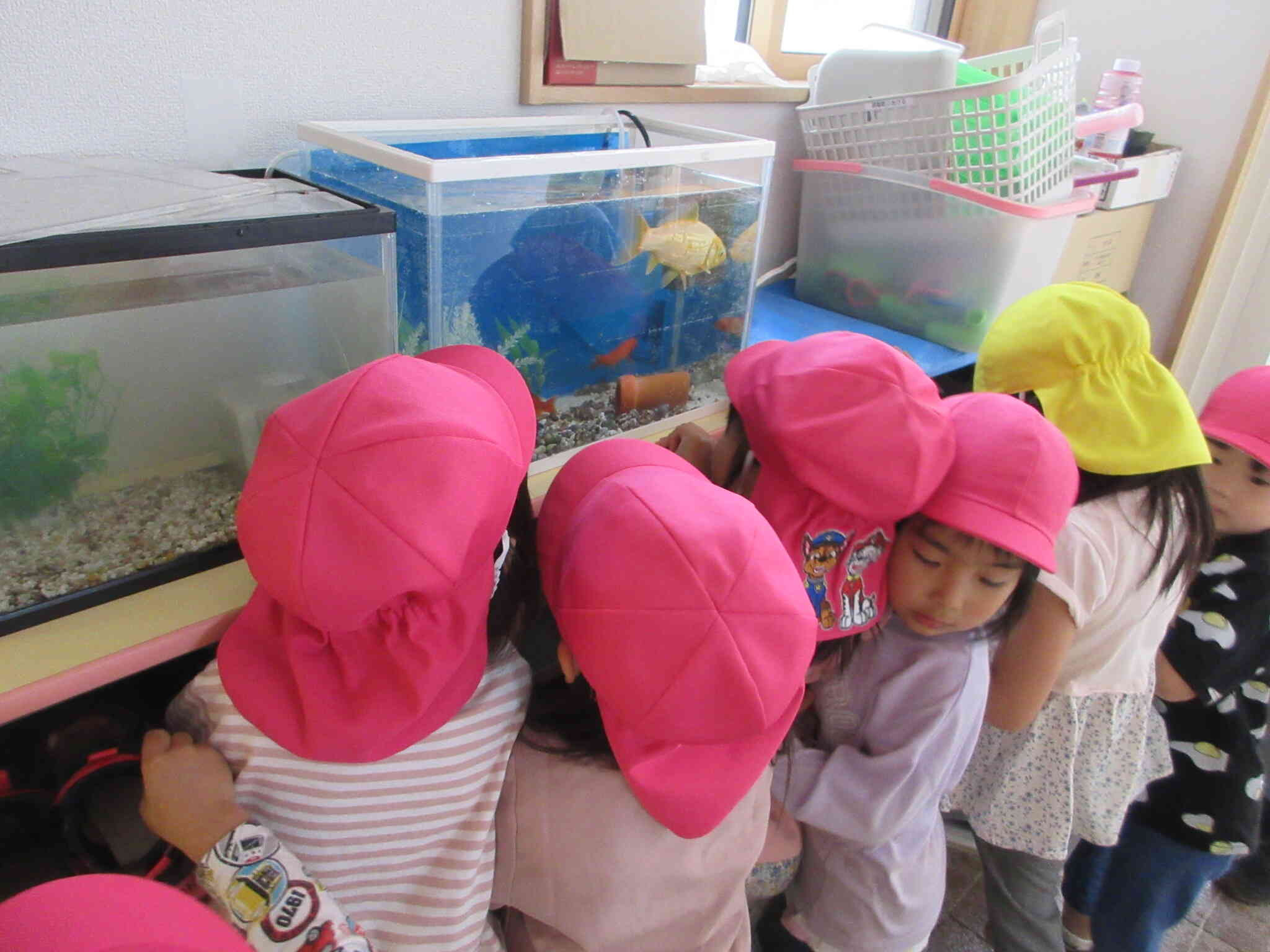 おさかなさんが来たよ！～３、４、５歳児～