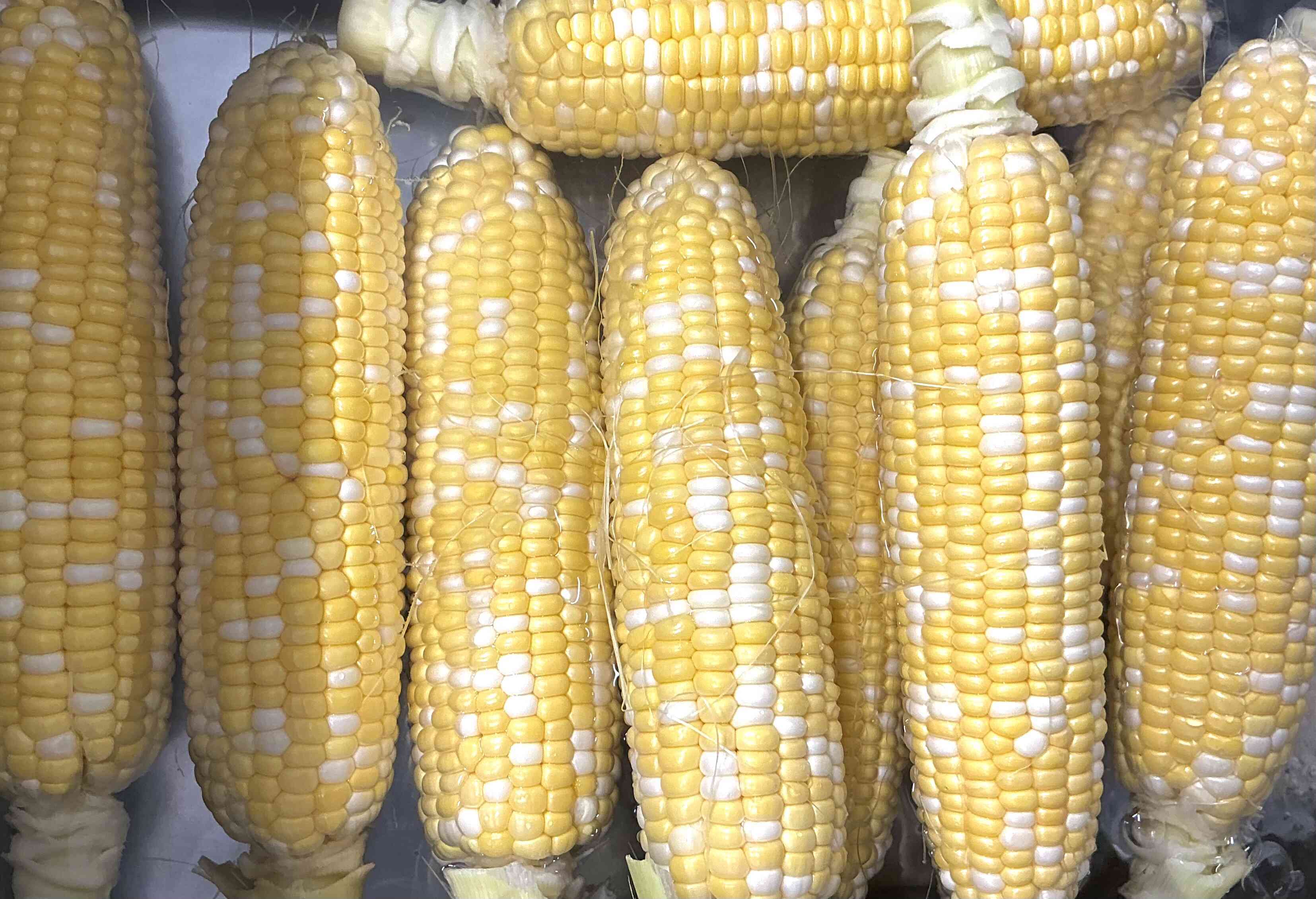 8月の食育活動
