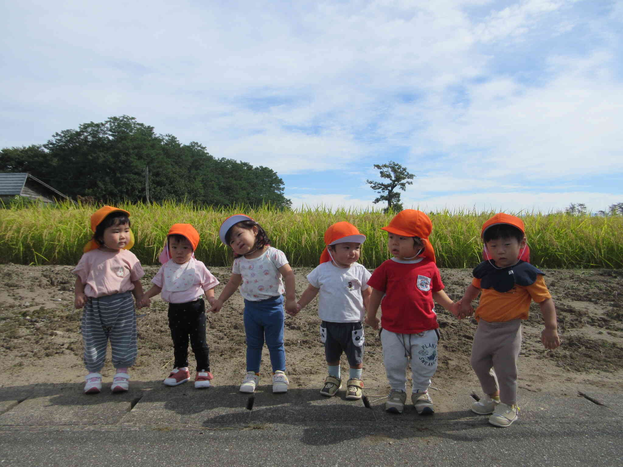 秋のお散歩～あひる組１歳児～
