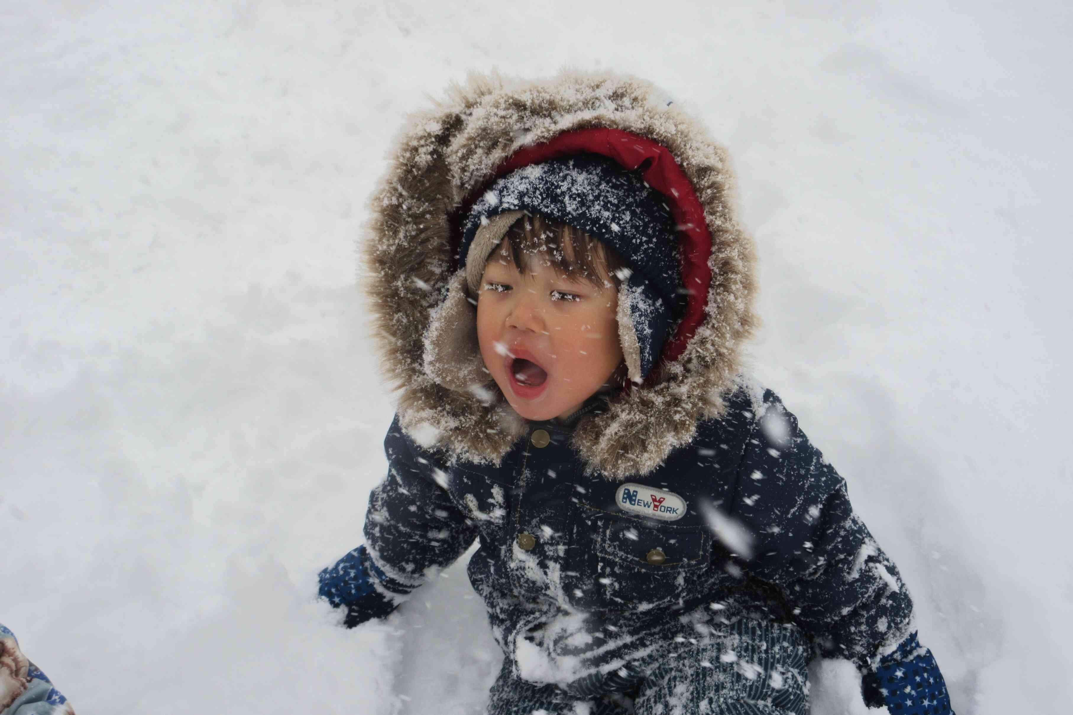 降ってくる雪、食べれるかな？