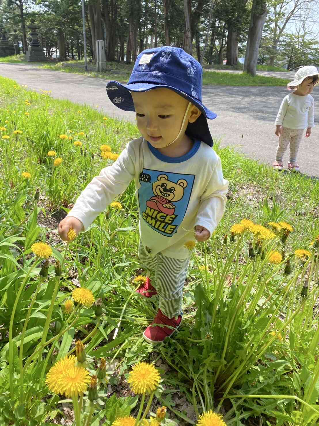 タンポポ見つめてにっこり♬