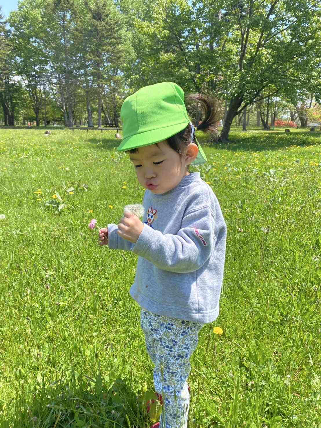 綿毛がい~っぱい！！　～泉の沼公園～