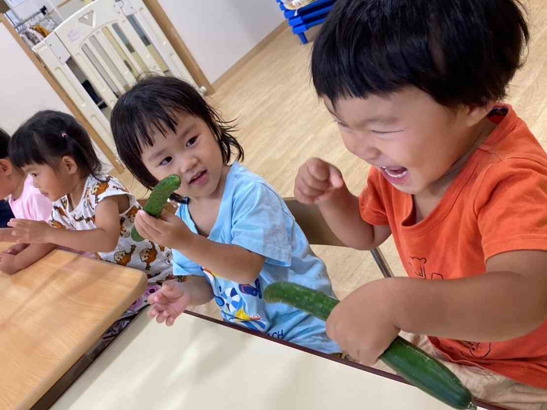 食育～きゅうりの塩漬け