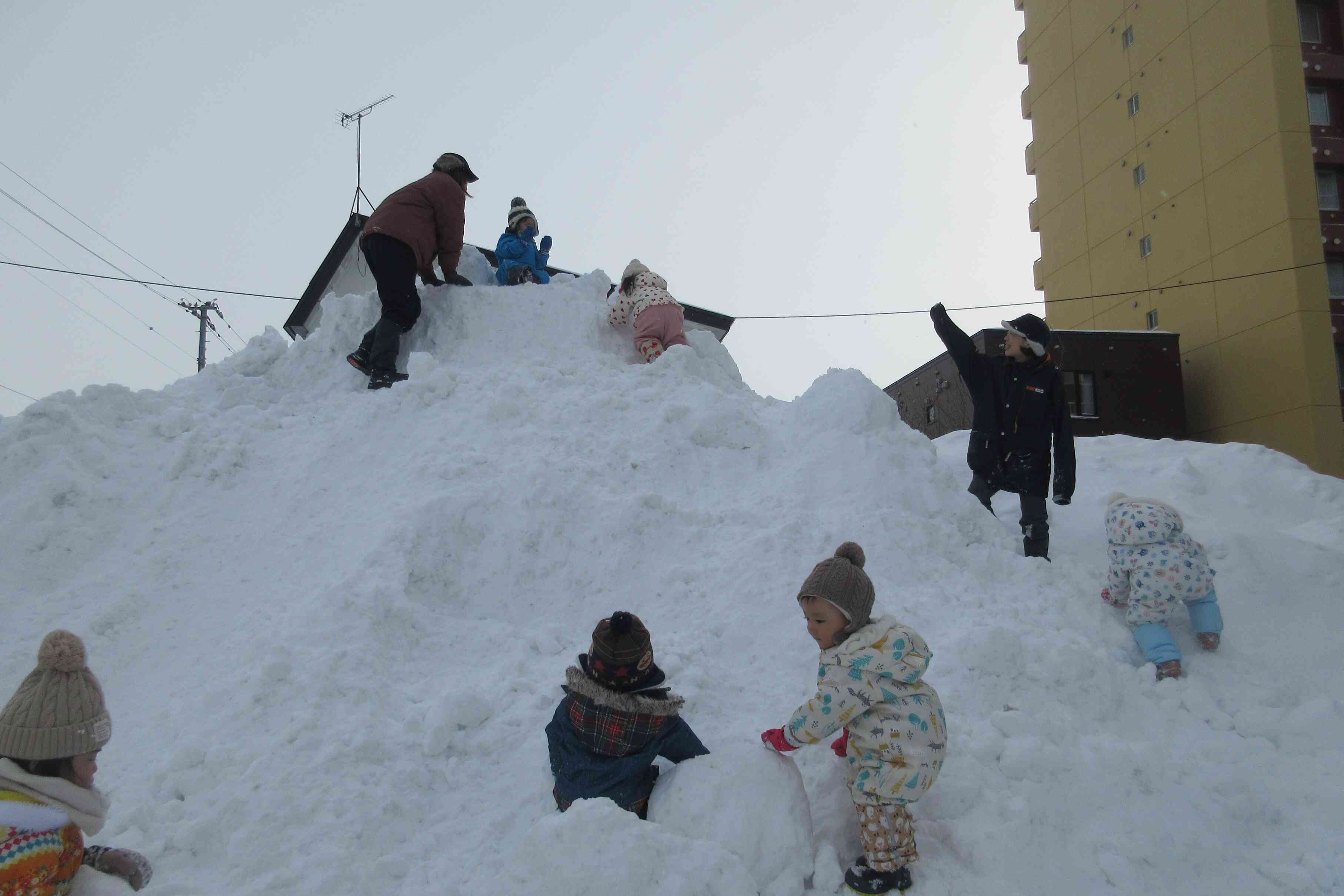 オーーーイ☆彡