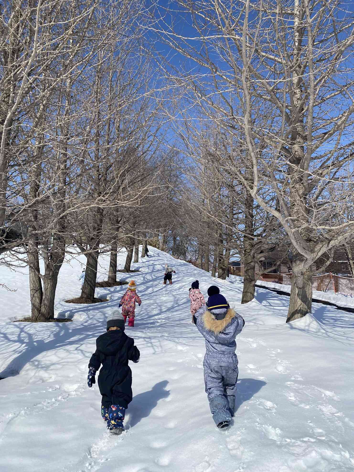 散策も気持ちよかったね～！