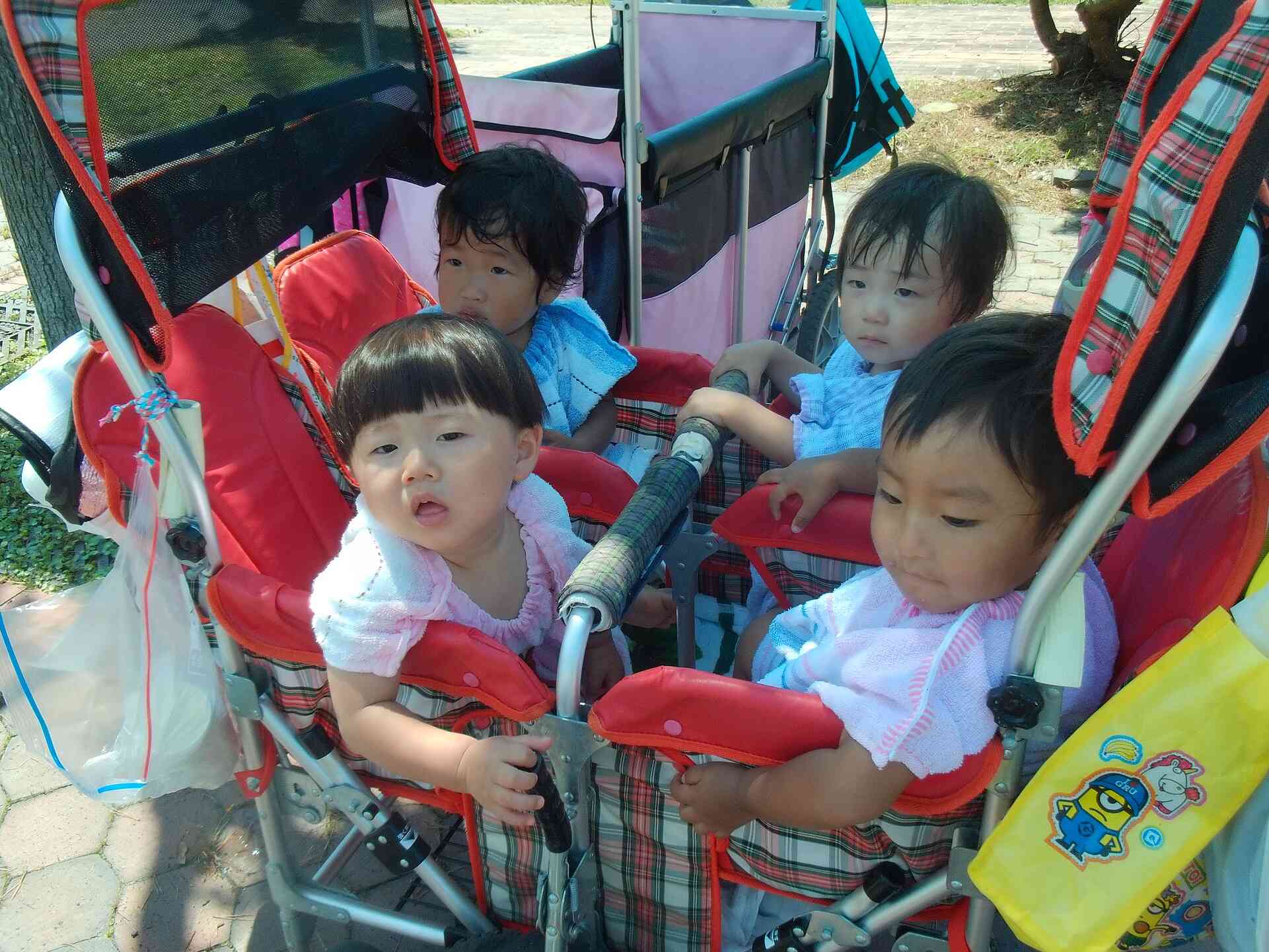 １歳児さんも☆彡