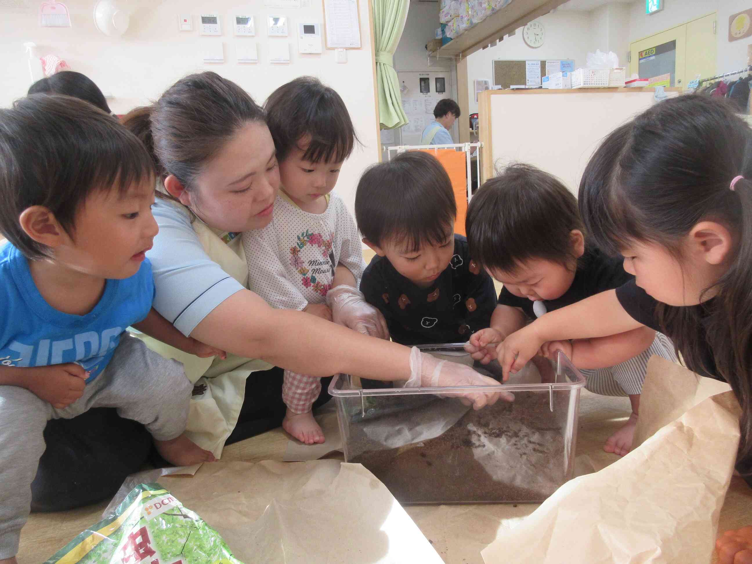 カブトムシの幼虫だぁ！！