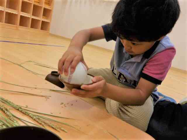 籾摺り（もみすり）楽しい～～♪