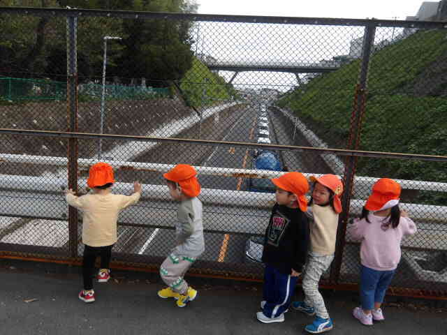 今日はどこに行くのかな？