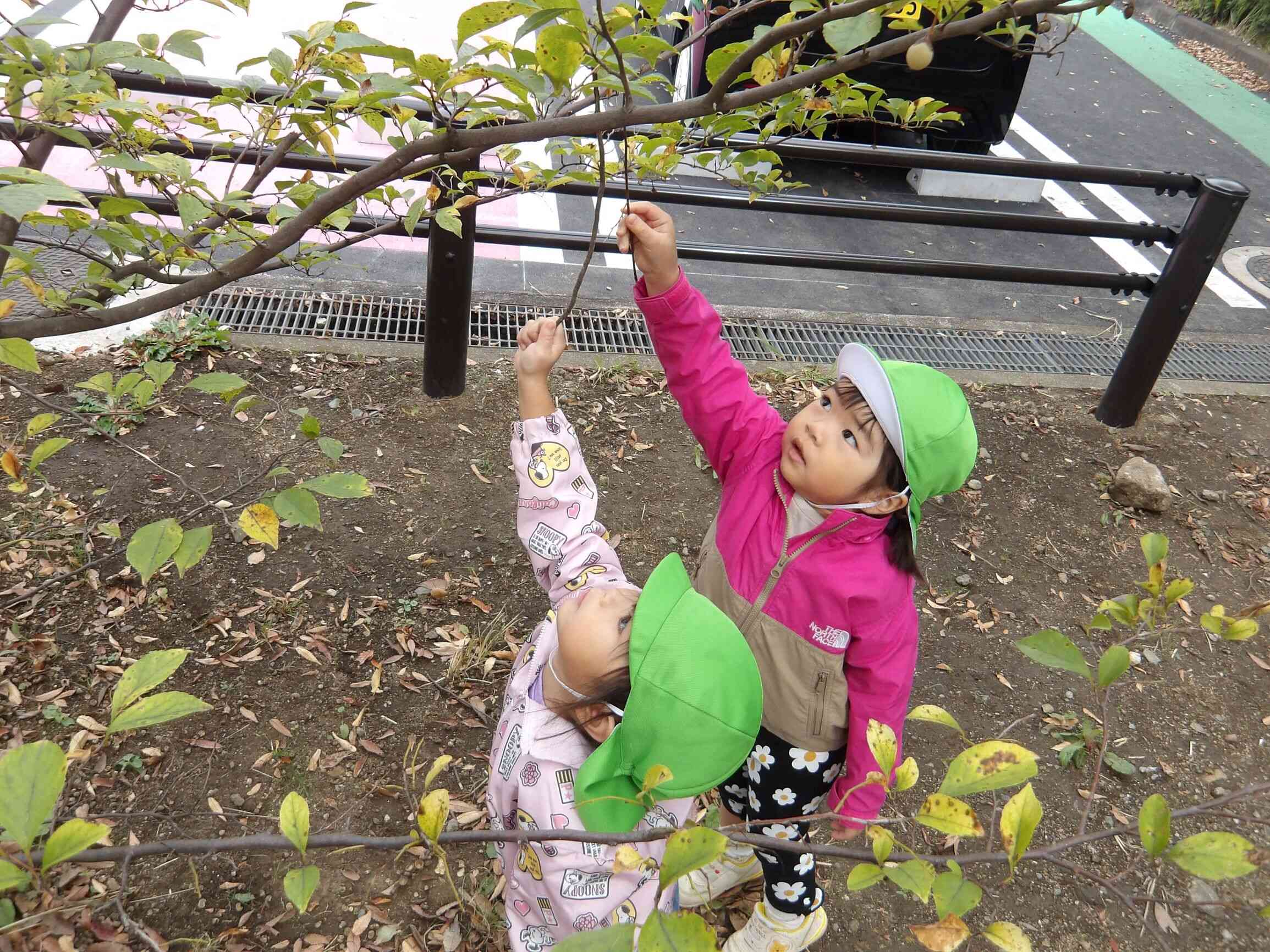 散歩に行こう！