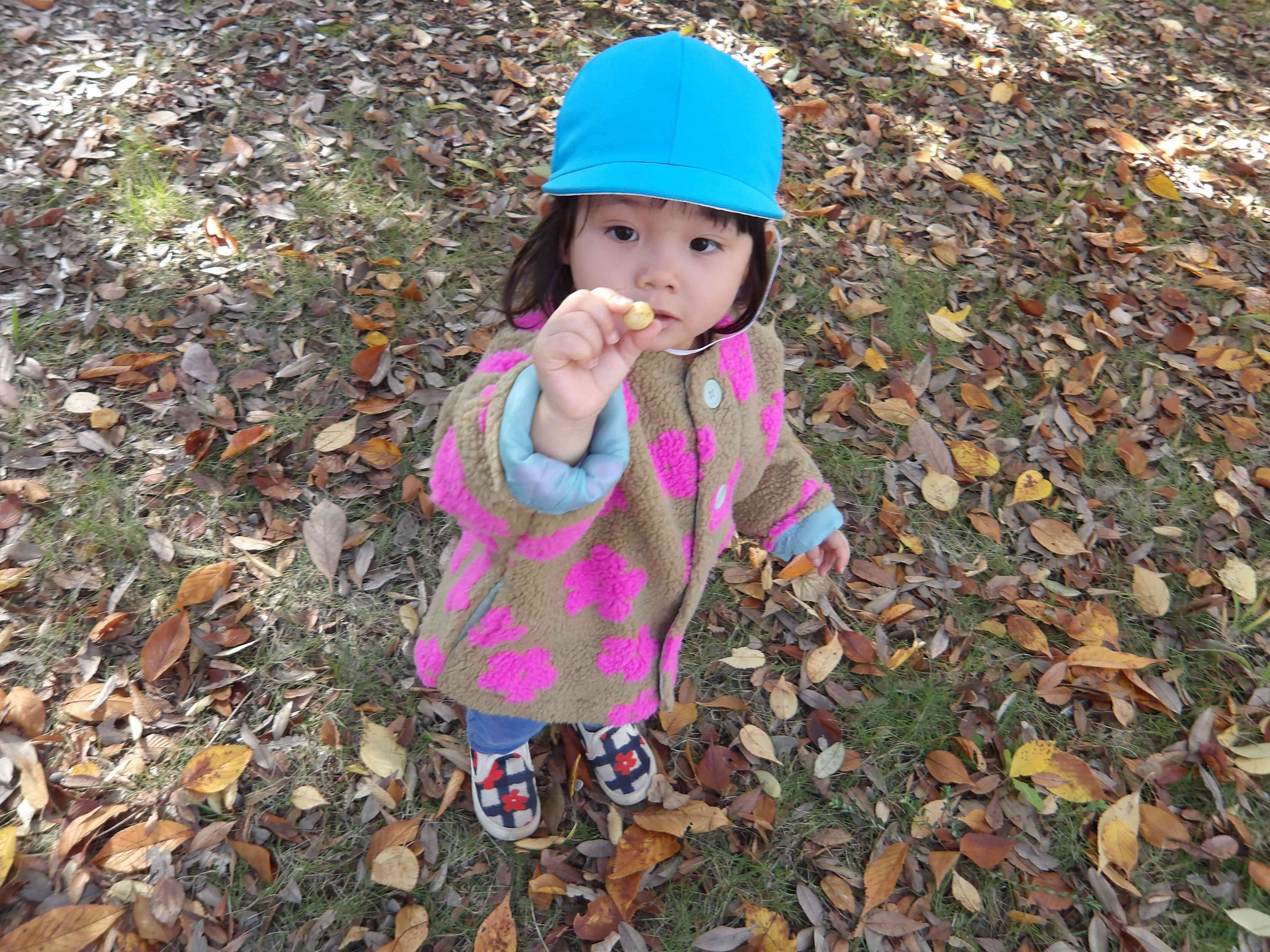 これなにかな？