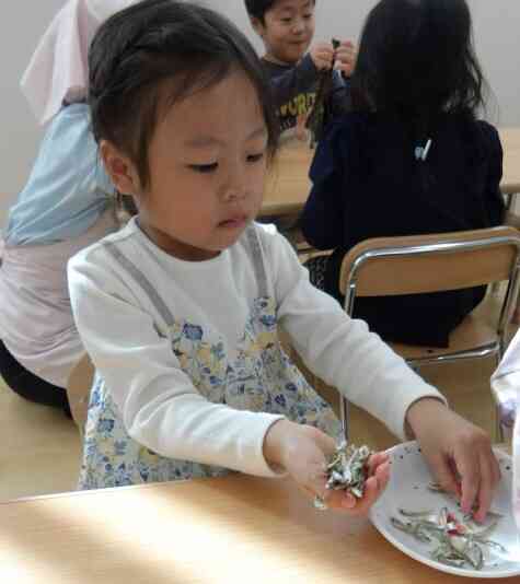 この小さなお魚が美味しい出汁に変身するのね。