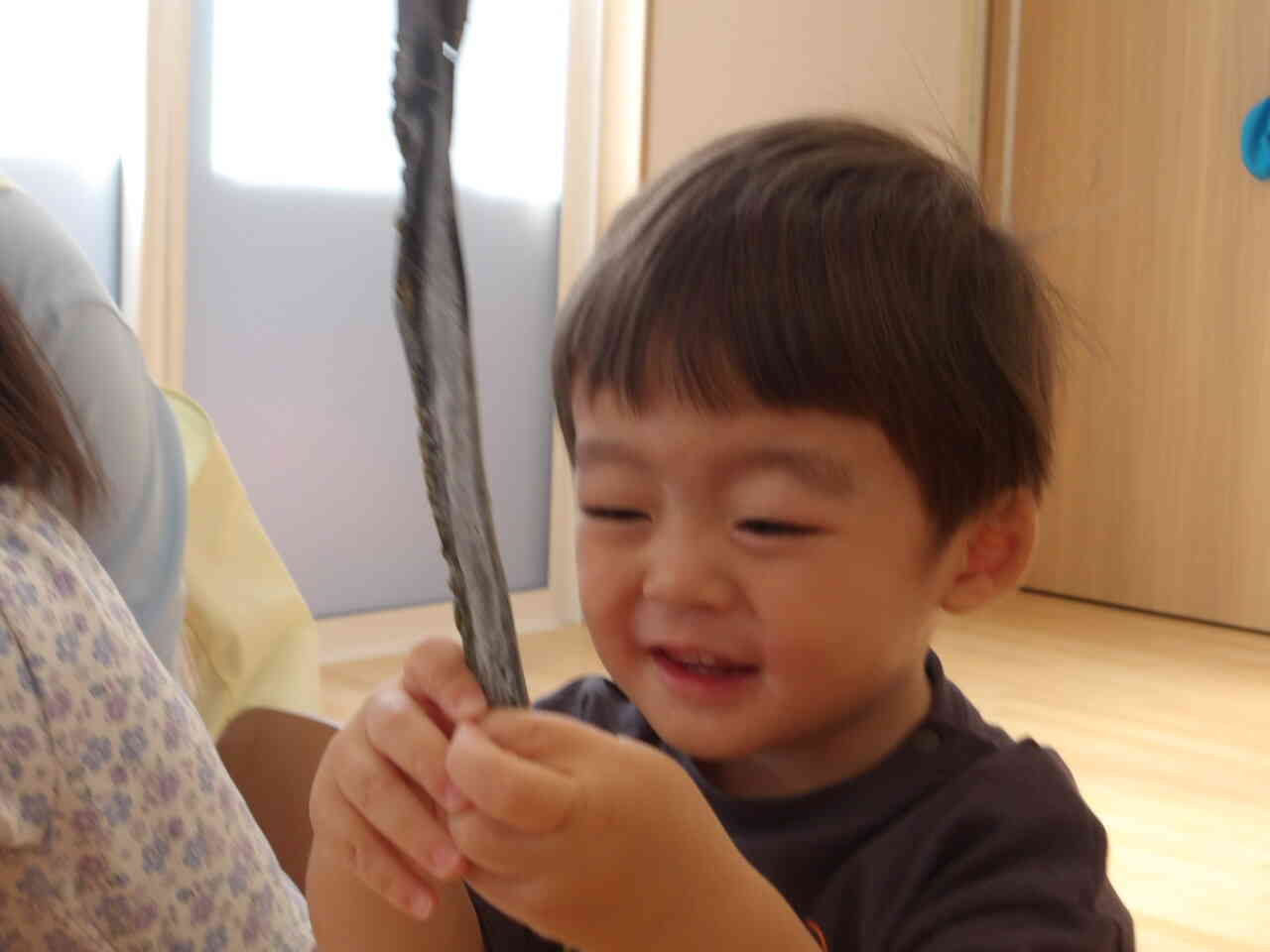 硬くて長くて不思議だな～