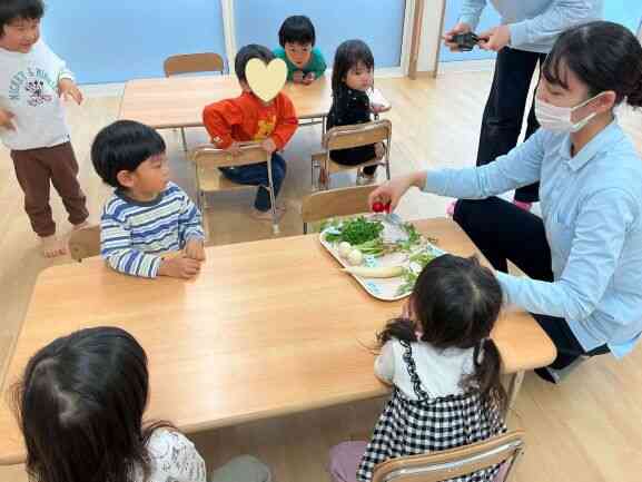 春の七草を見てみよう！