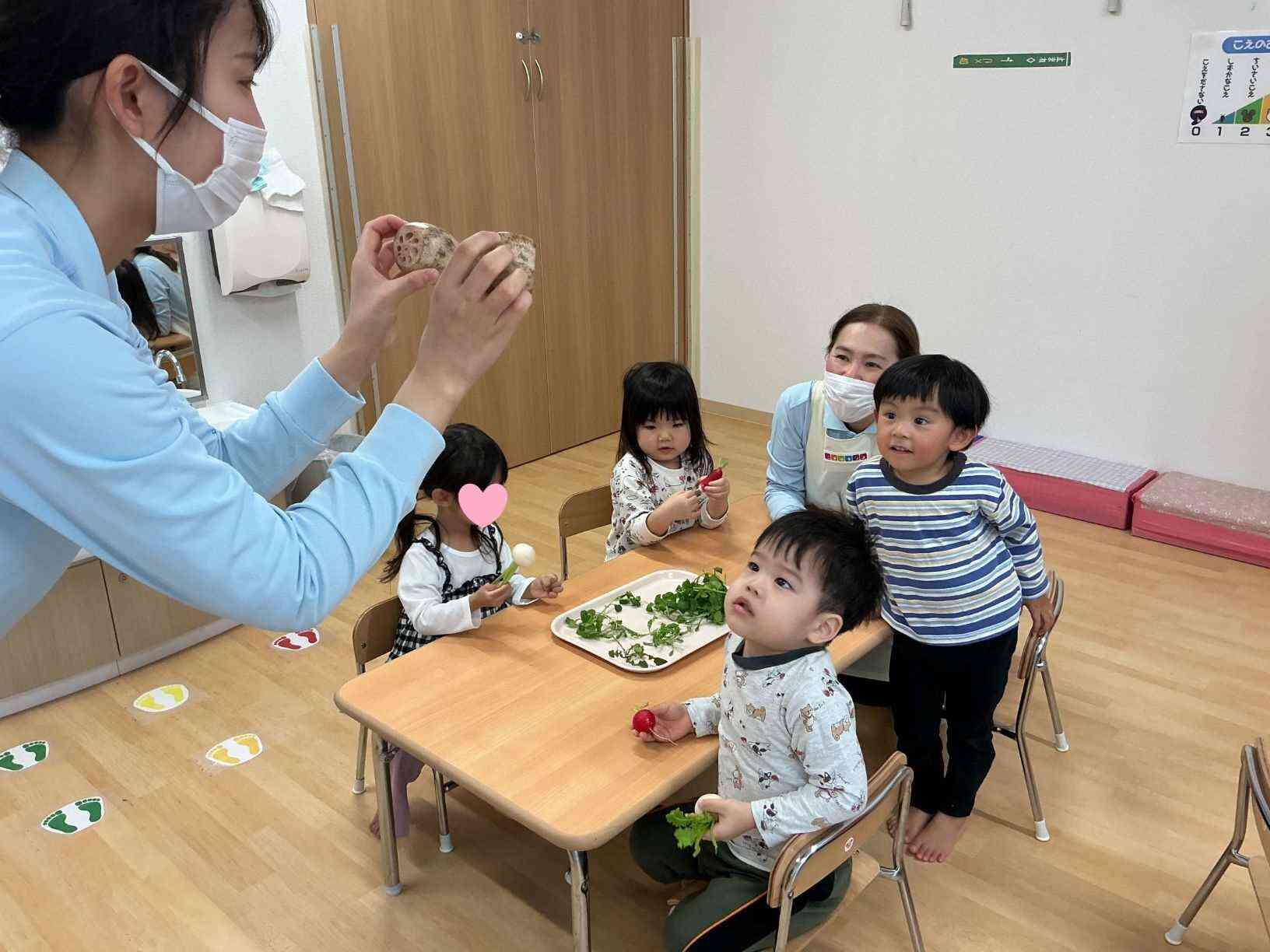 七草のほかにも冬の野菜を触りました